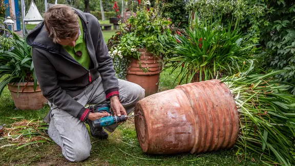Agapanthus im Topf teilen und umpflanzen | ndr.de