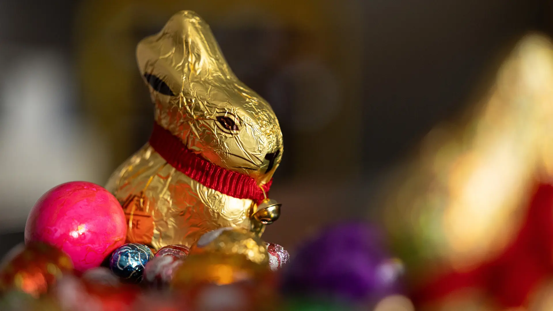Schoko-Osterhasen immer teurer: Gründe und Alternativen