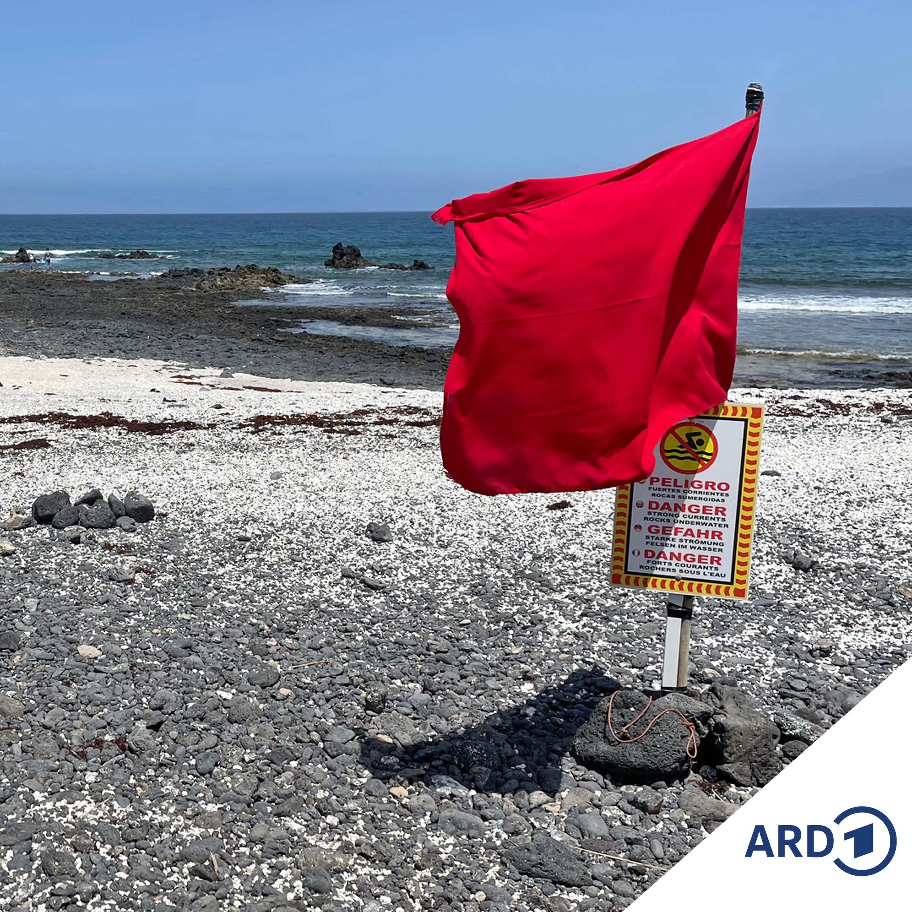 Zwischen Hamburg und Haiti