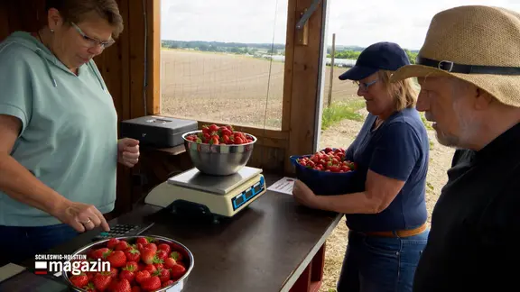 Frisch gepflückte Erdbeeren werden abgewogen.