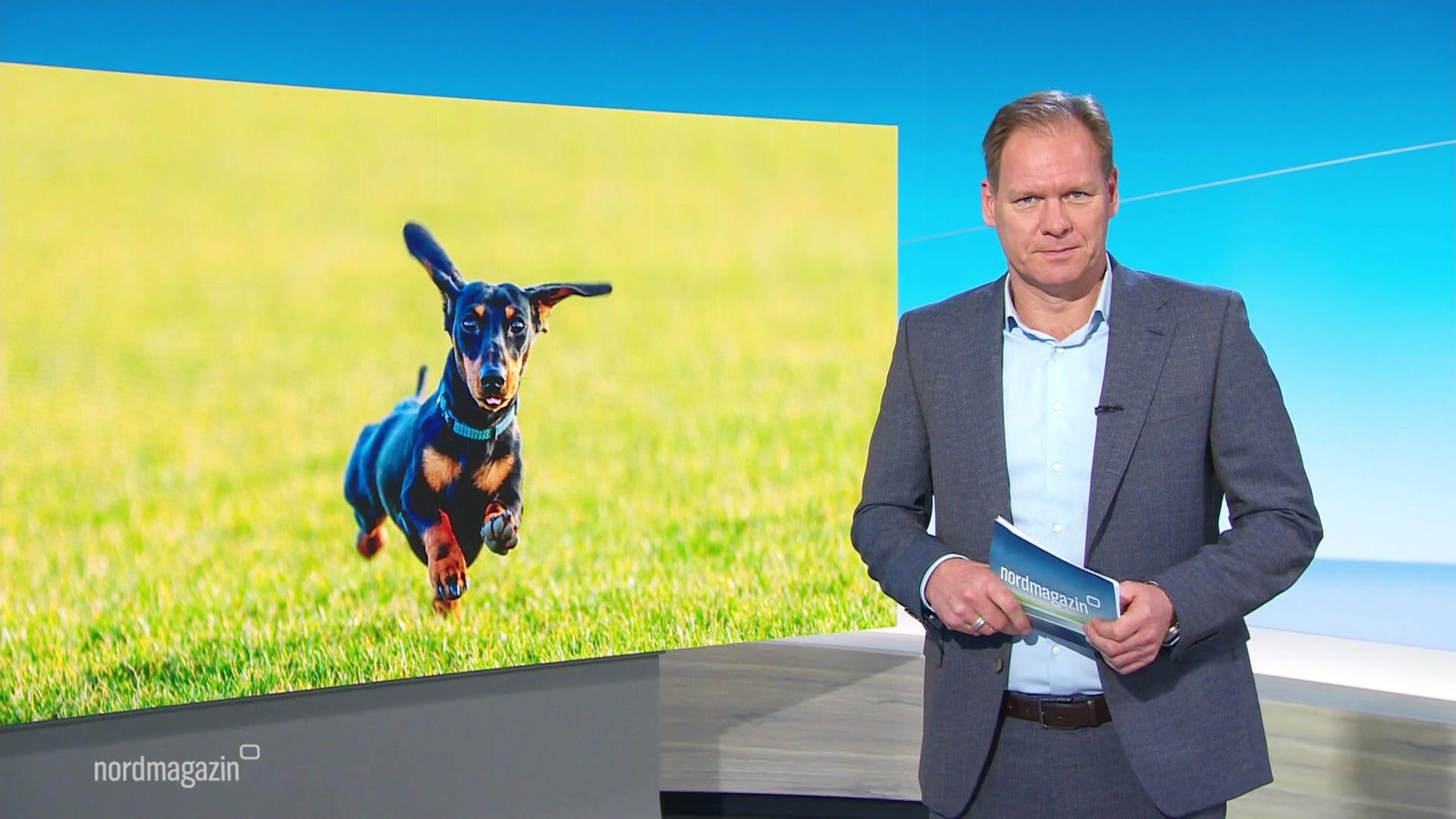 Nordmagazin | 01.12.2025