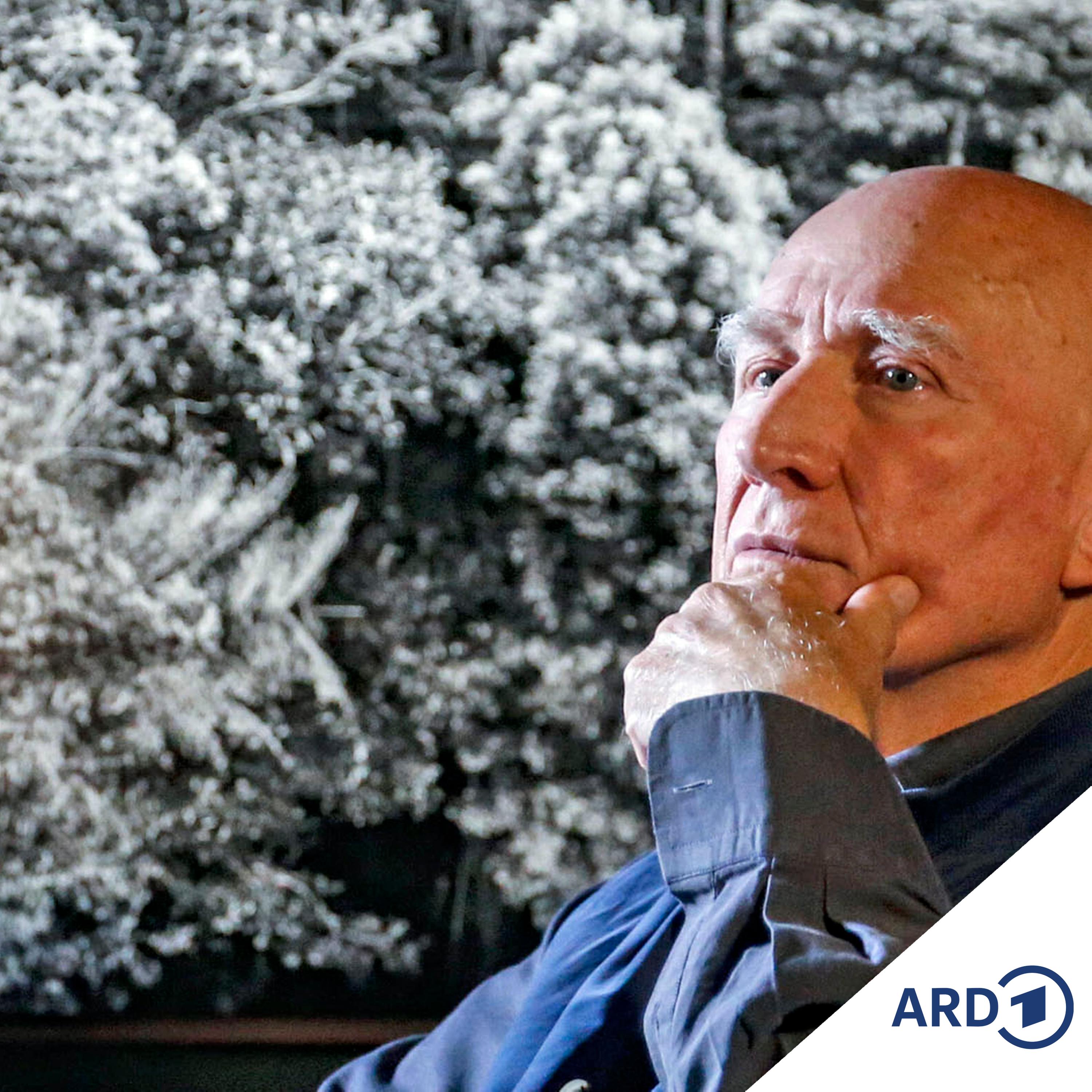 Schützt die Erde - Die Vision des Fotografen Sebastião Salgado episode artwork