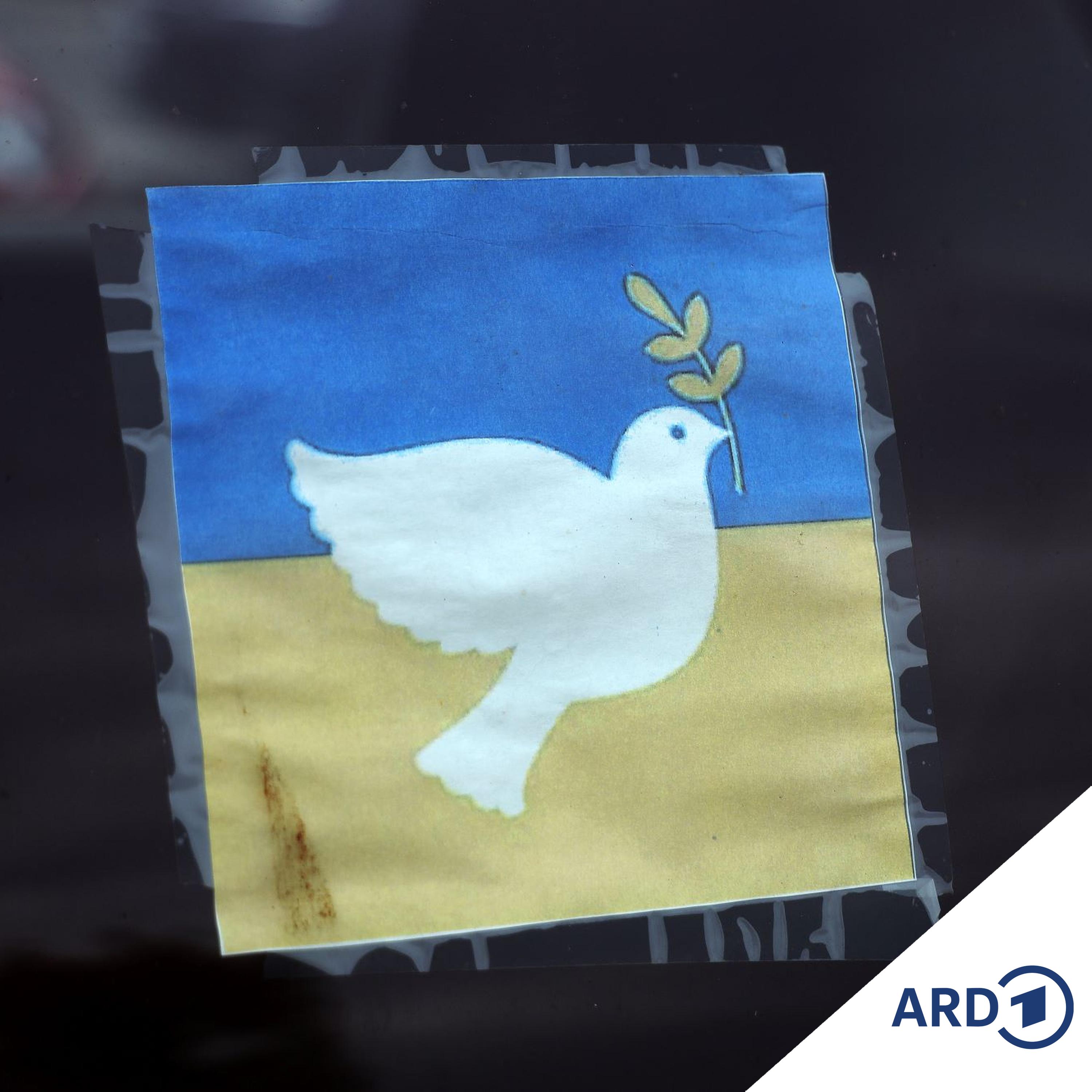 Endet der Ukraine-Krieg mit einem Deal?