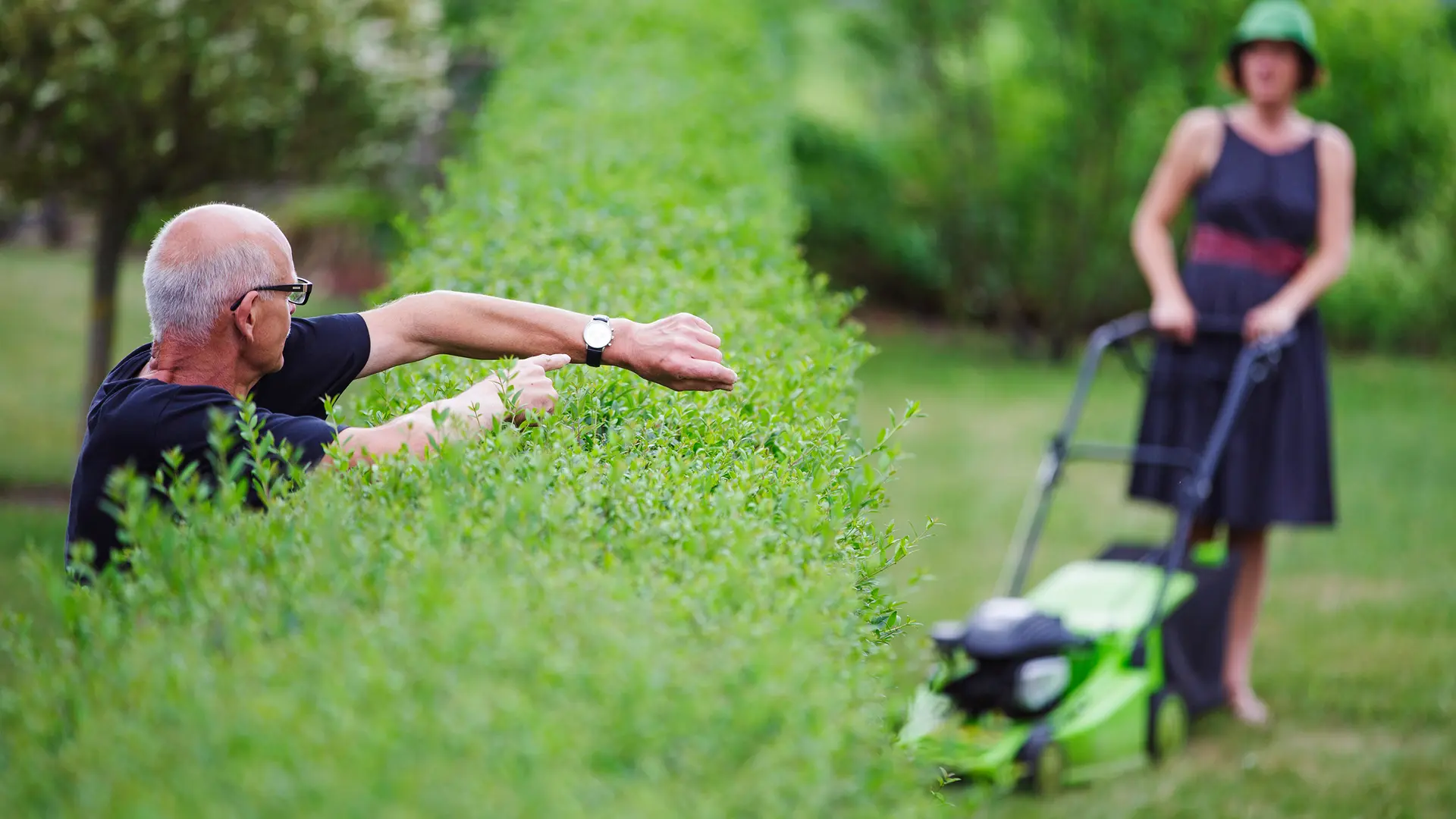 Der Ton am Gartenzaun wird rauer: Was Schlichter beim Streit unter Nachbarn erleben