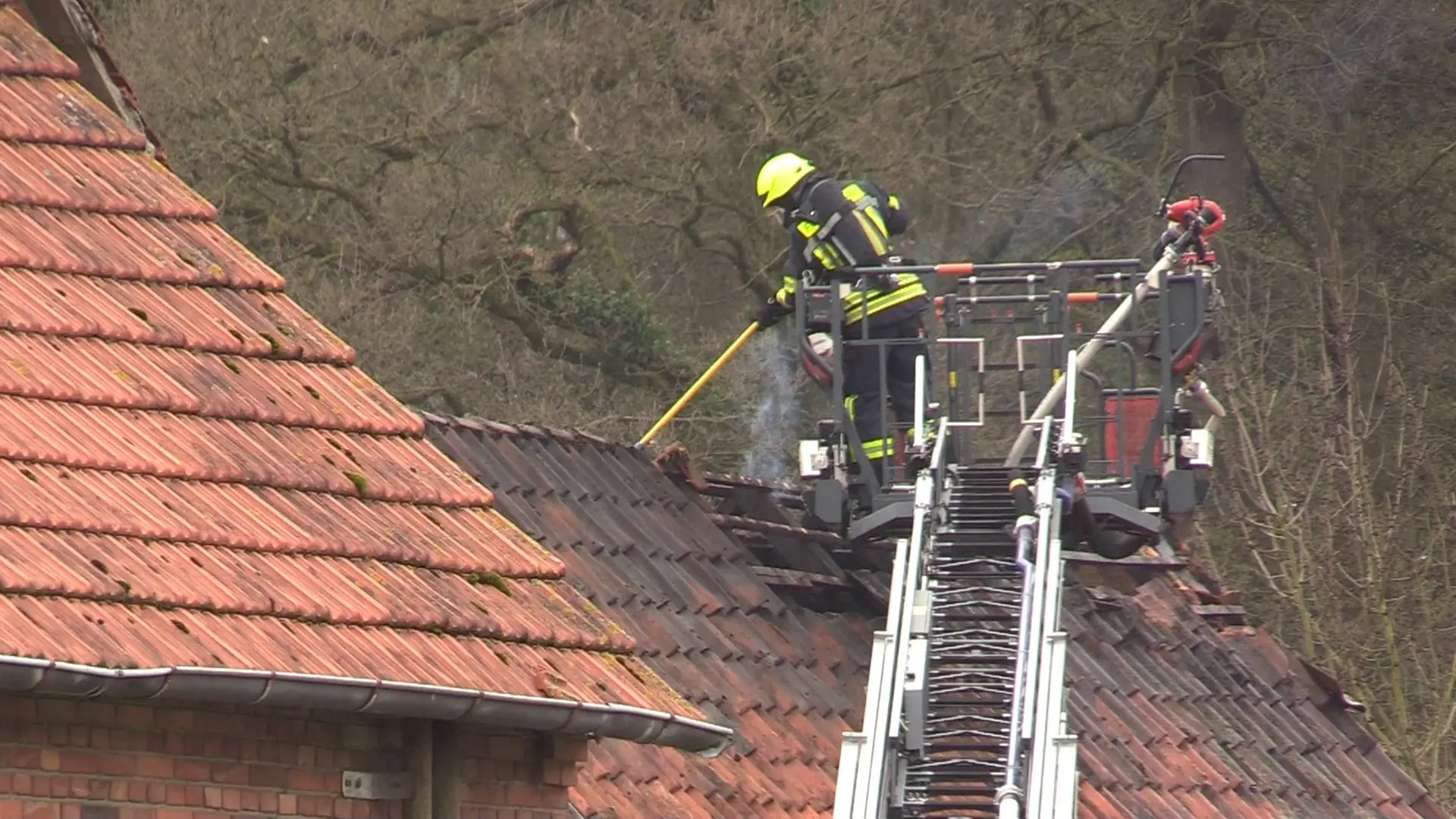 Brand in Schweinestall: 66 Tiere sterben, drei Schweine gerettet
