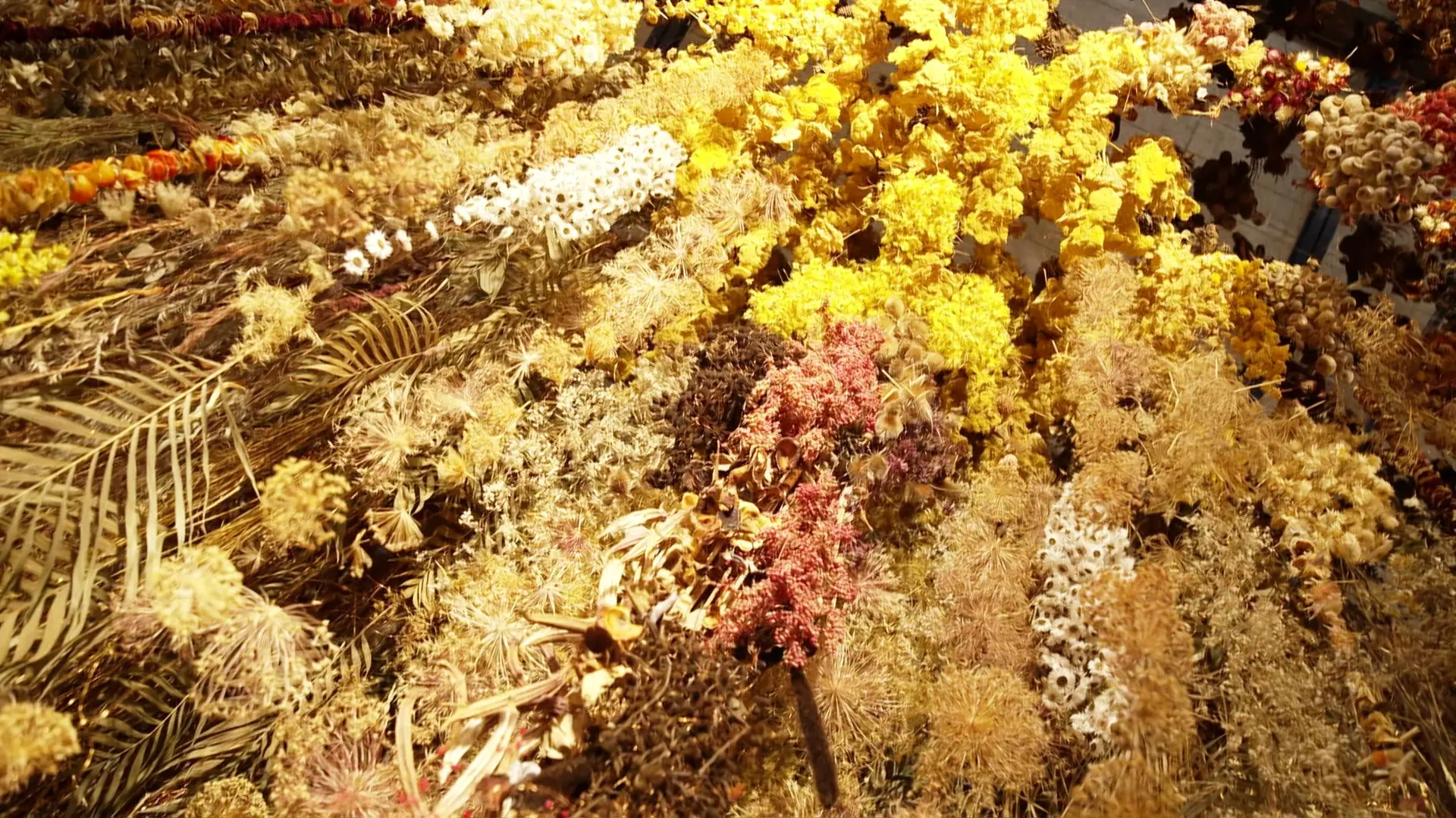 Artwork made of dried hydrangeas: A sea of blossoms in Schleswig