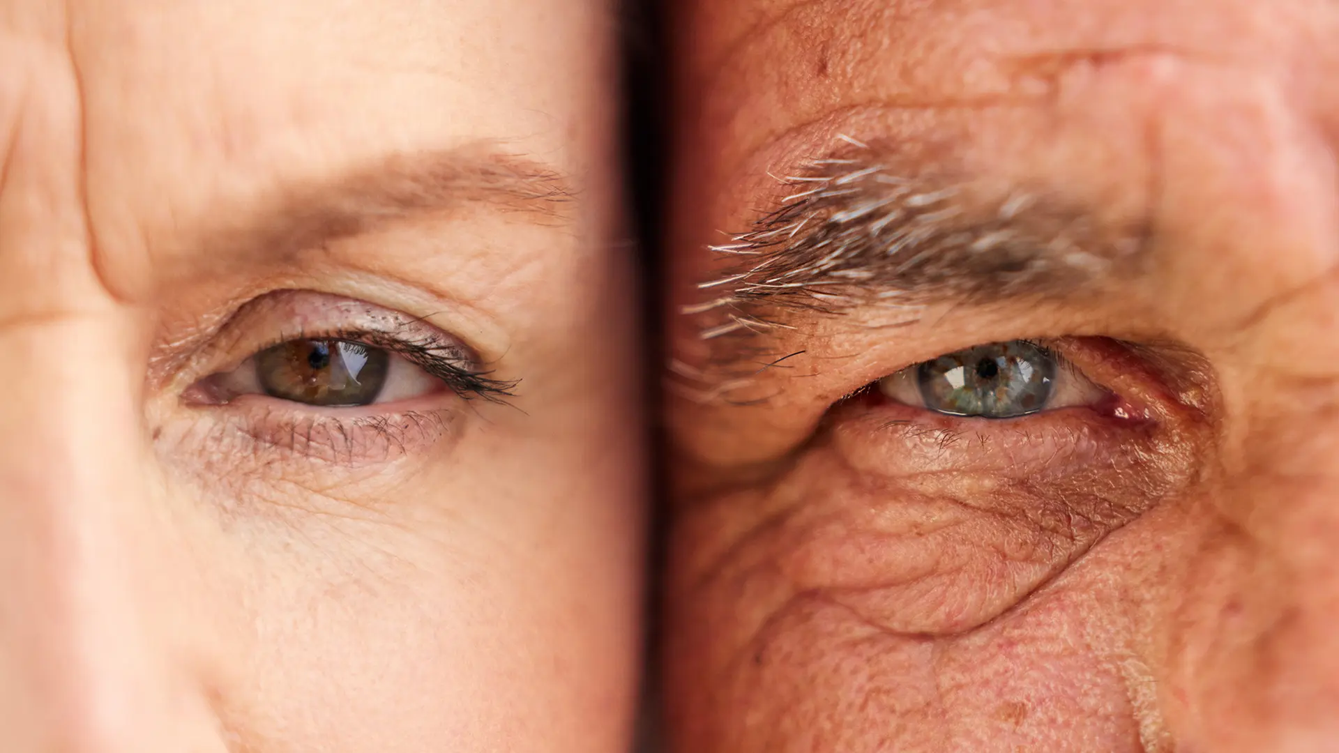 Länger leben, vital ältern: Die Geheimnisse gesunder Zellen und die Zukunft der Anti-Aging-Forschung