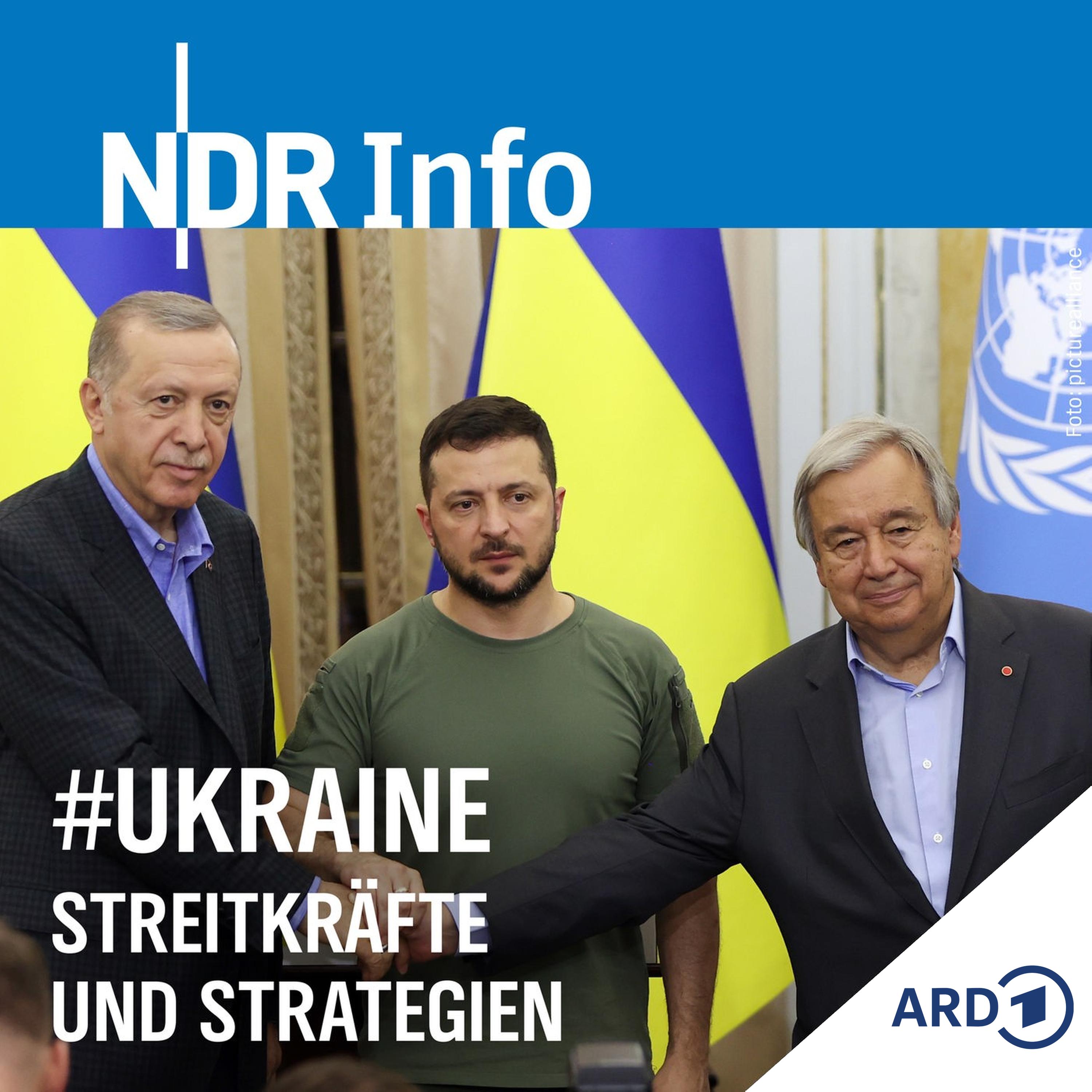 Streitkräfte und Strategien