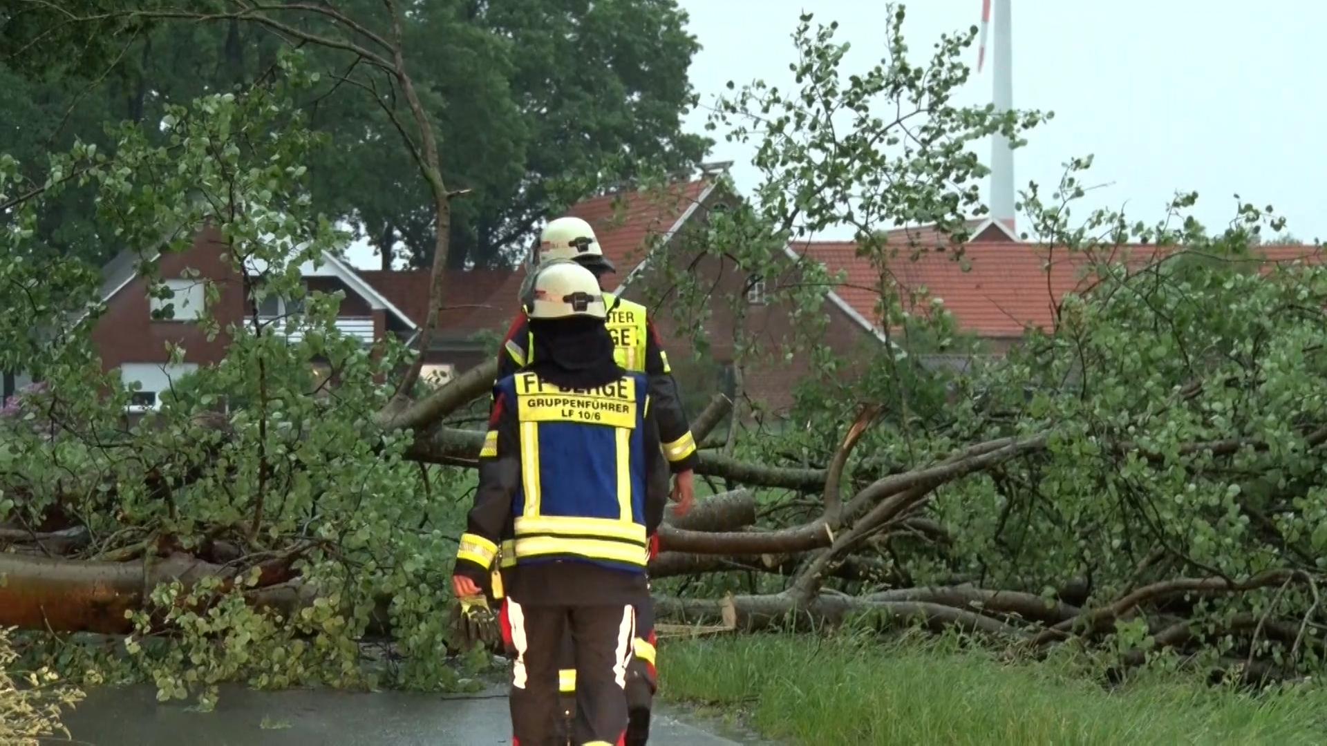 Die Feuerwehr räumt einen umgestürzten Baum von einer Straße in Bersenbrück. | Nord-West-Media TV