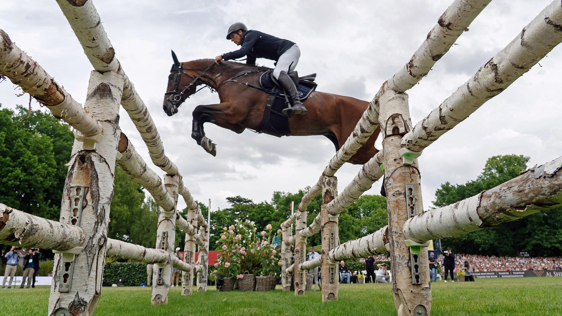 Reiten live: Wer gewinnt das Championat in Hamburg-Klein Flottbek?