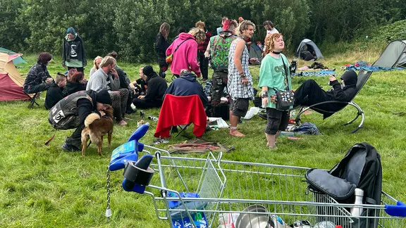 Eine Gruppe von Punks haben sich auf einer Wiese auf Sylt eingerichtet.