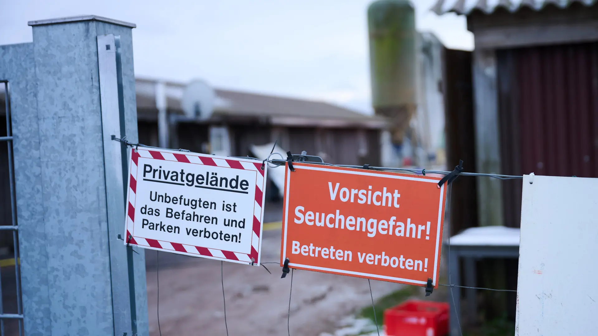 Wie gefährlich ist die Maul- und Klauenseuche? - Fragen und Antworten ...