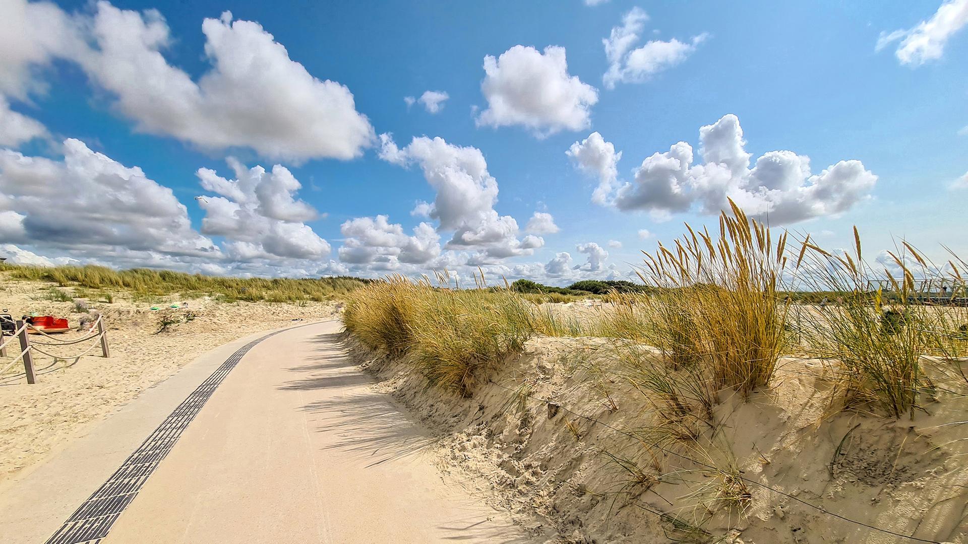Dünen in Norddeich bei Sonnenschein. | NDR, Andreas Plenz 