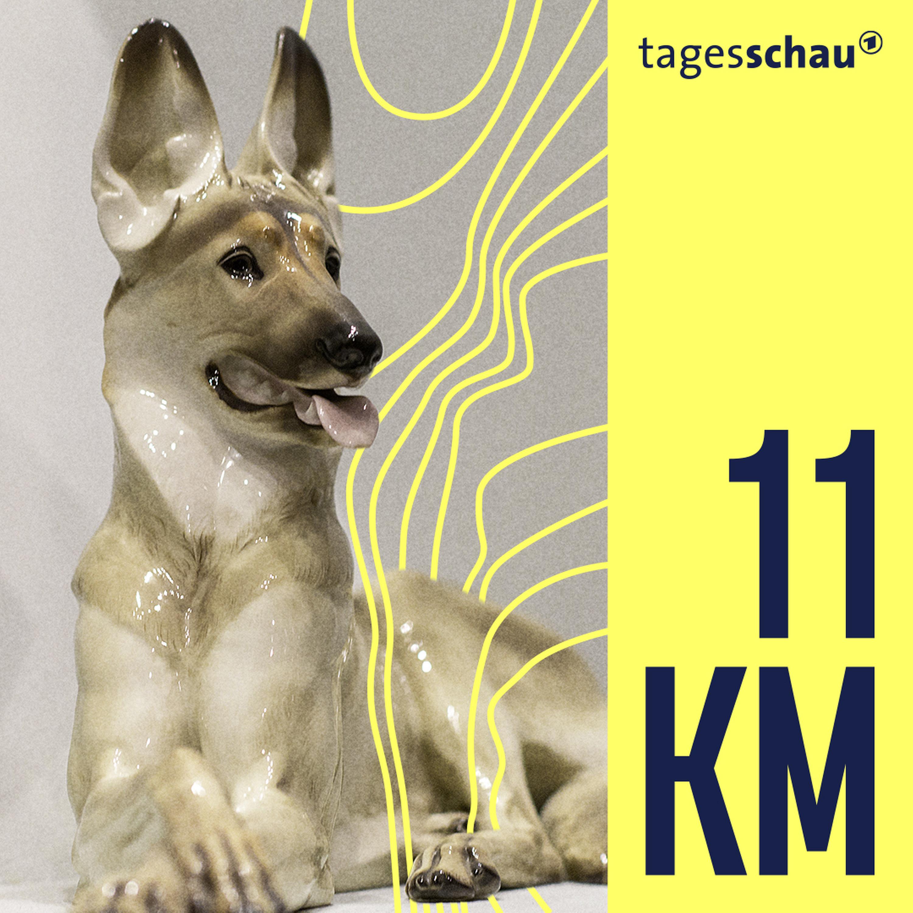 11KM: der tagesschau-Podcast