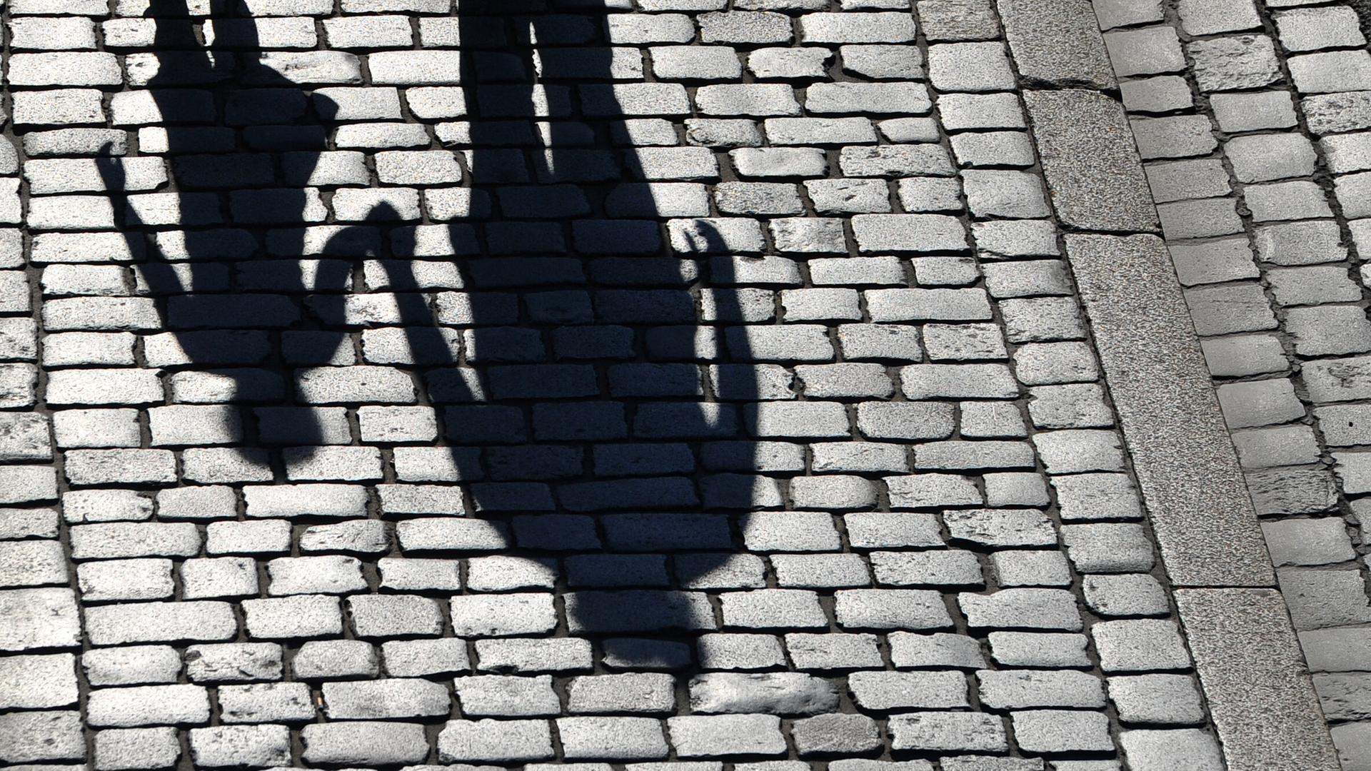 Schatten einer erwachsenen Person und eines Kindes sind zu sehen. | picture alliance/dpa/dpa-Zentralbild | Matthias Hiekel