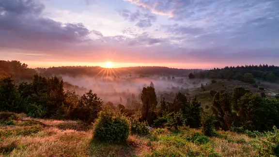 Die Sonne geht über dem Totengrund in der Lüneburger Heide auf.