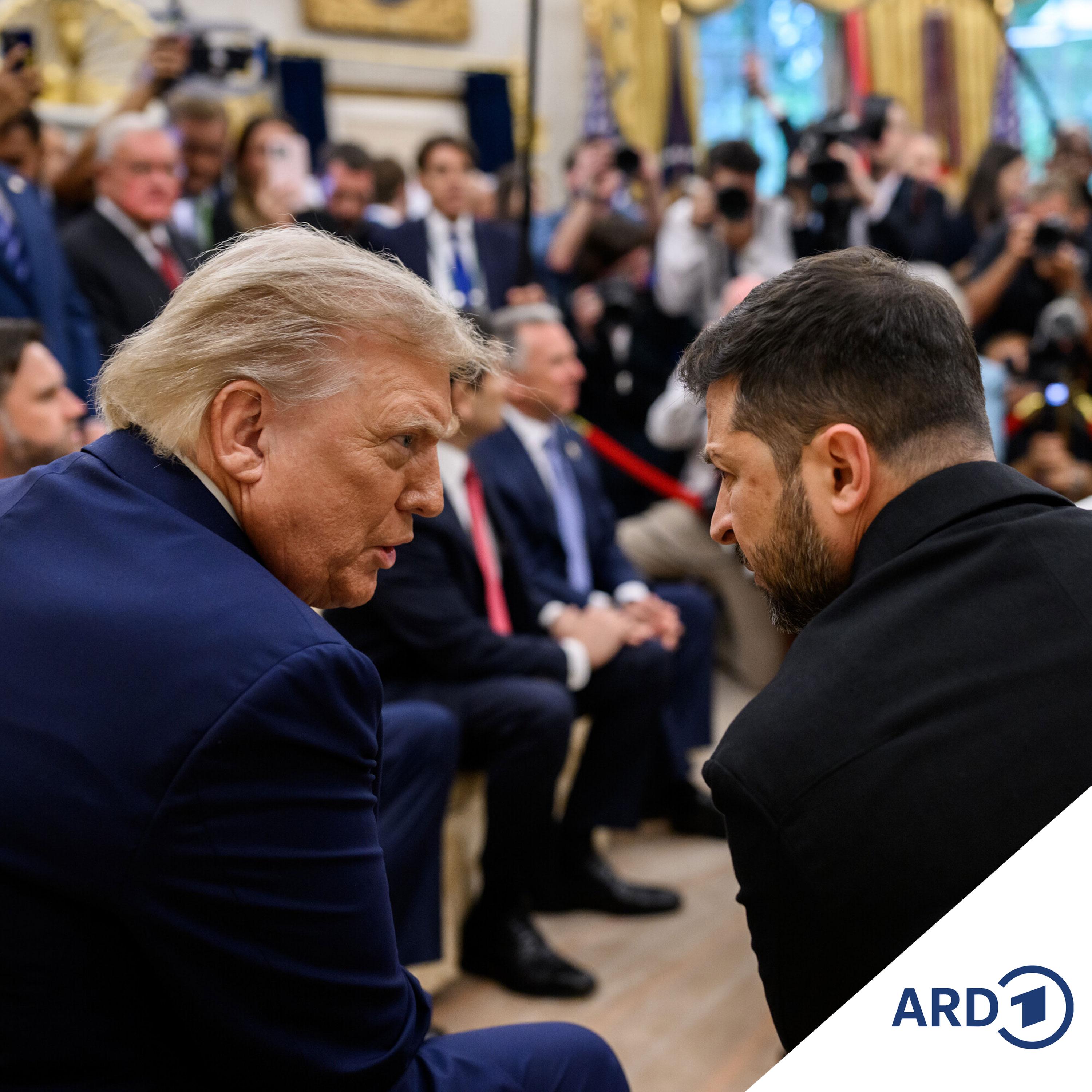 Trump trifft Selenskyj in Washington