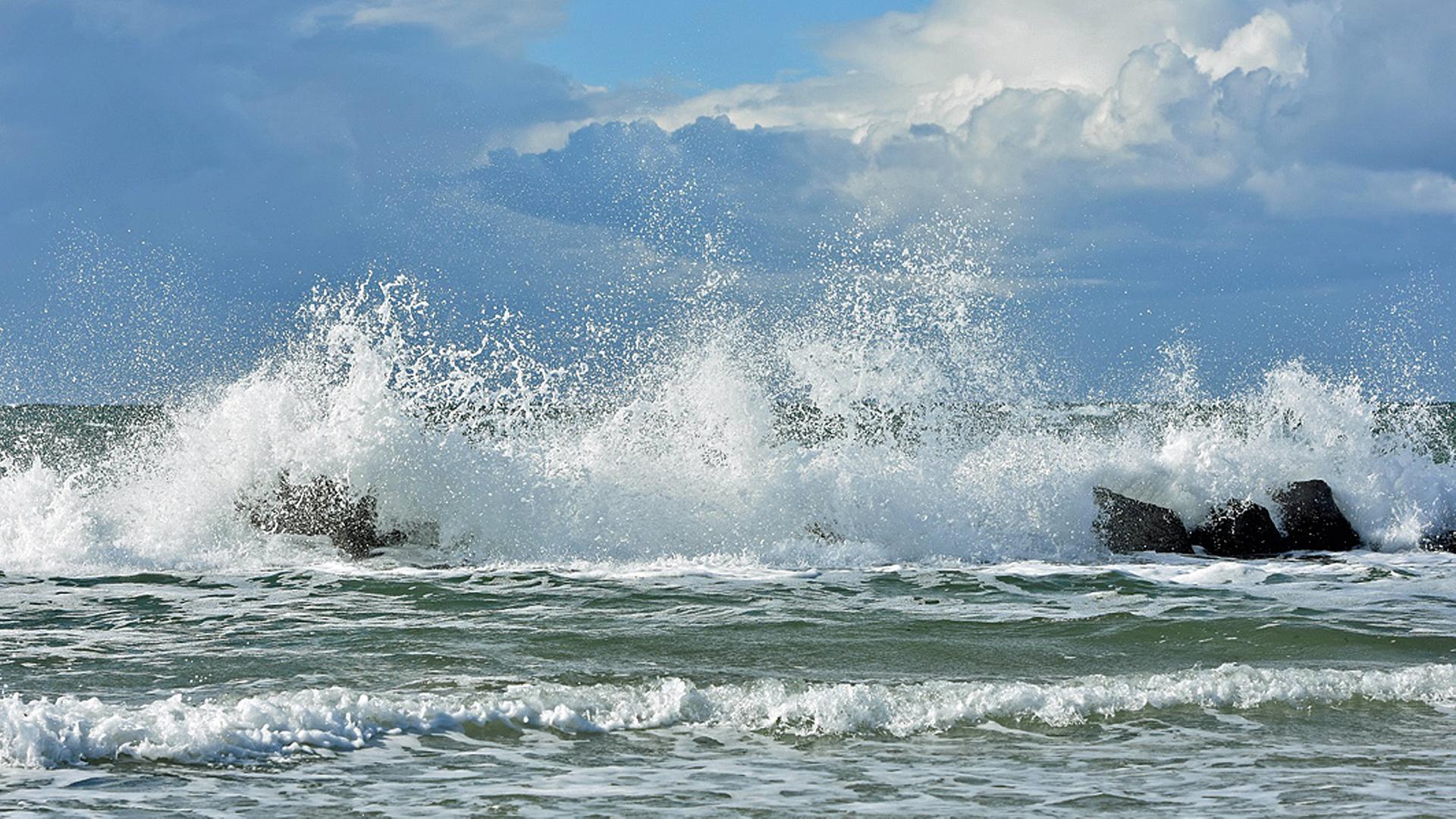 Studie: Ostseewasser könnte in Region Rostock für Industrieboom sorgen