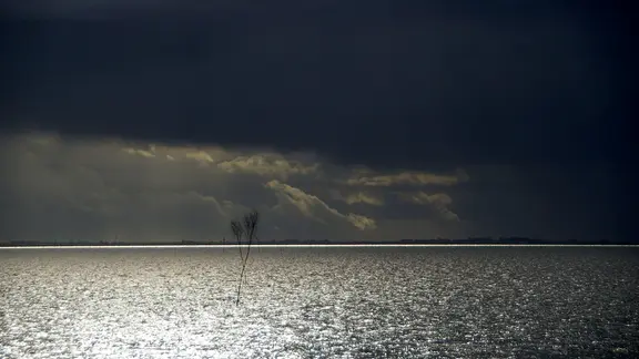 Dunkle Wolken, aber auch etwas Licht über dem niedersächsischen Wattenmeer. | NDR, Holger Geists Dunkle Wolken, aber auch etwas Licht über dem niedersächsischen Wattenmeer.