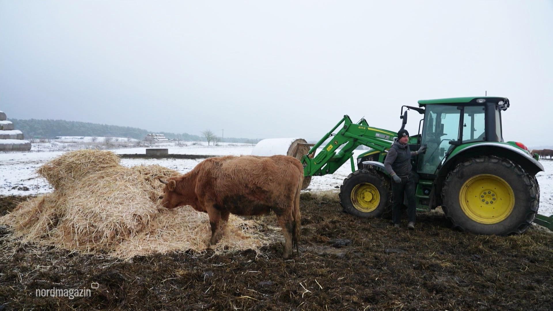 Sophienhof in Neustrelitz: Mehraufwand im Winterbetrieb