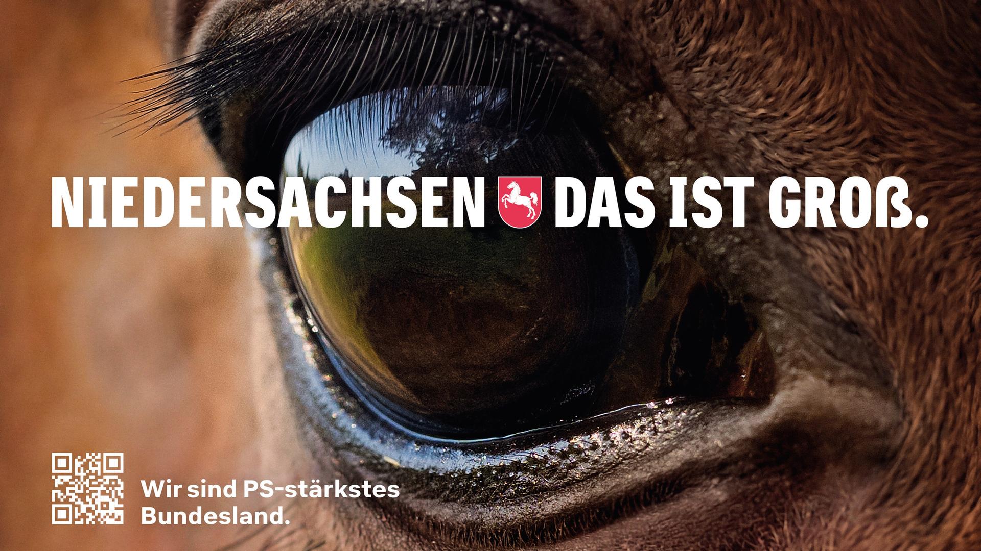 EIn Plakat mit einem Pferd zeigt den neuen Slogan von Niedersachsen: Das ist Groß | Niedersachsen.next GmbH