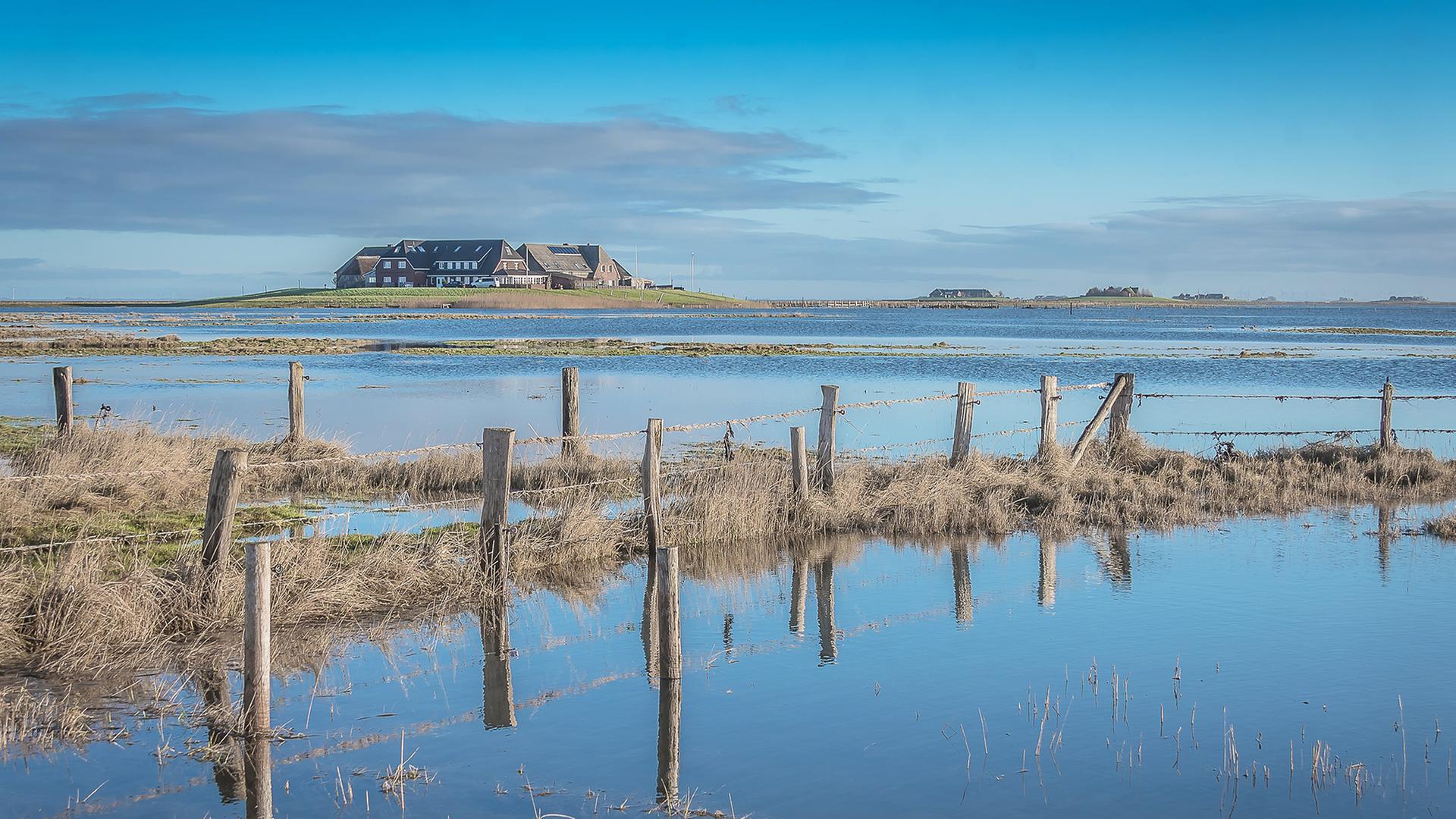 Hallig Langeneß bei blauem Himmel und Sonnenschein. | Mario Neu, Mario Neu