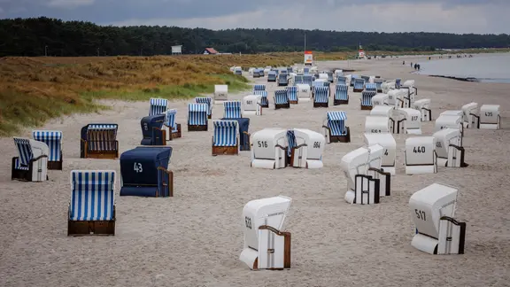 Leere Strandkörbe stehen am Ostseestrand von Prerow. (Themenbild)