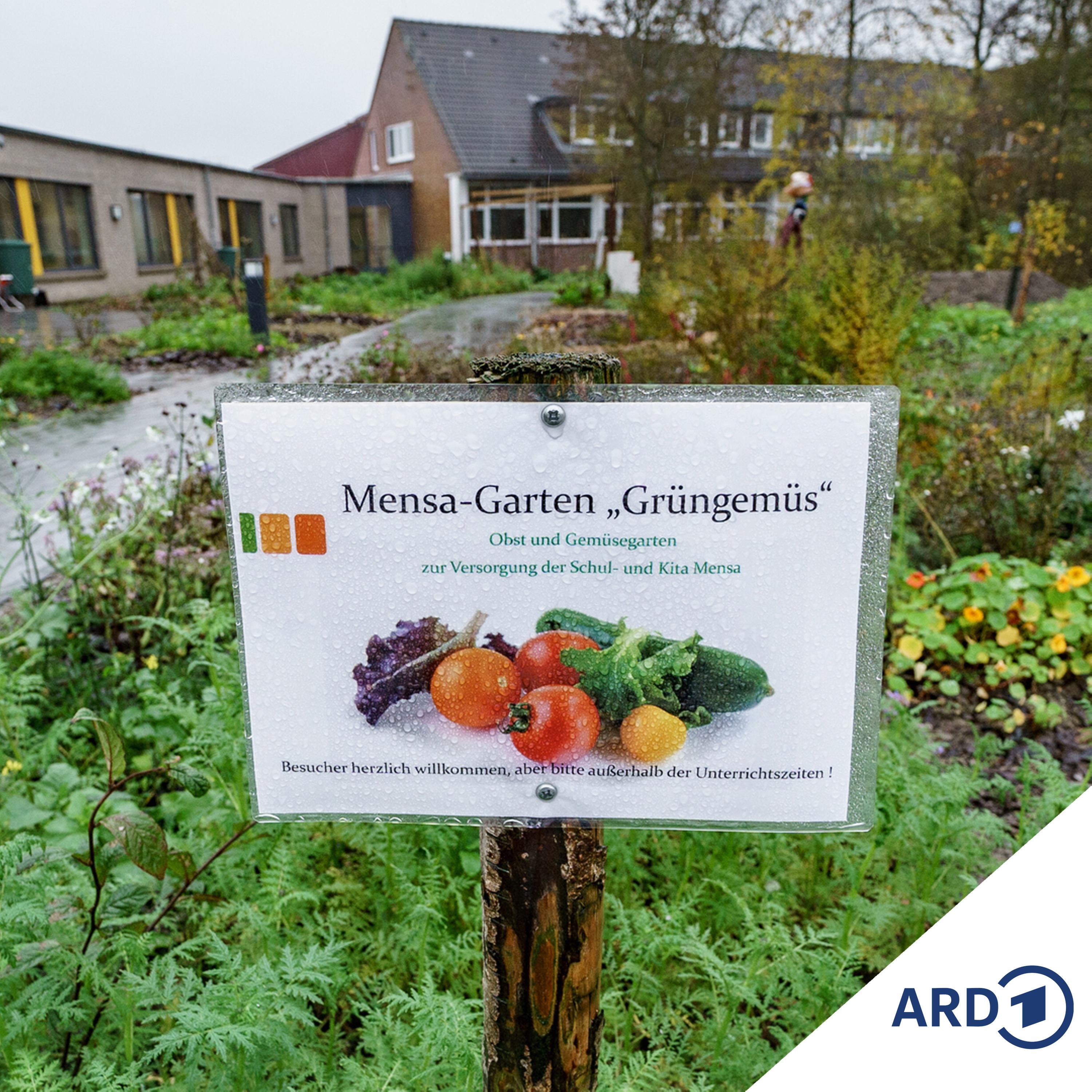 Kirchliche Küchen und Kantinen - Eine Frage des Preises?