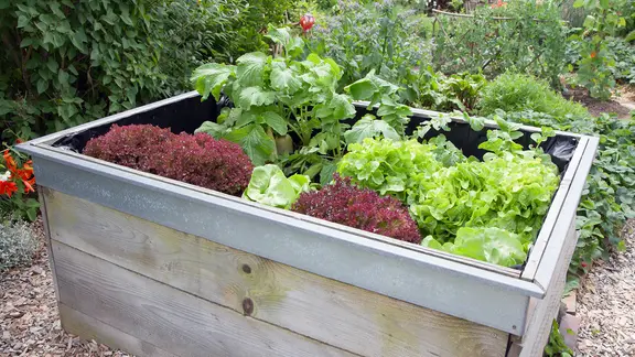 Bepflanztes Hochbeet | fotolia.com, Jeanette Dietl Bepflanztes Hochbeet