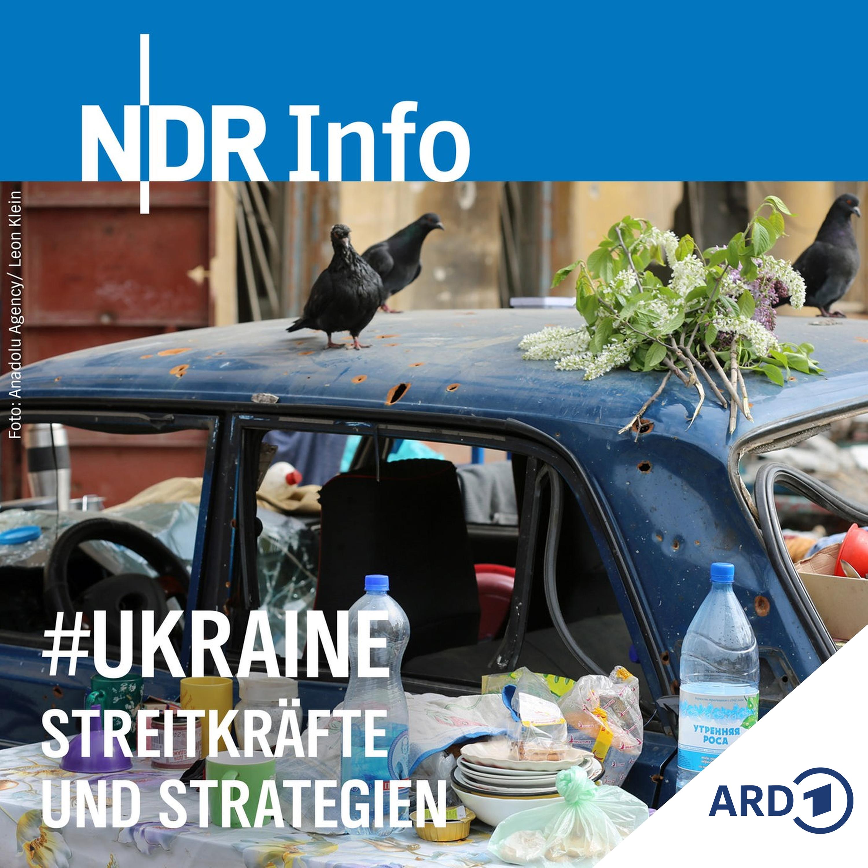 Feuerpause in Mariupol (Tag 71)