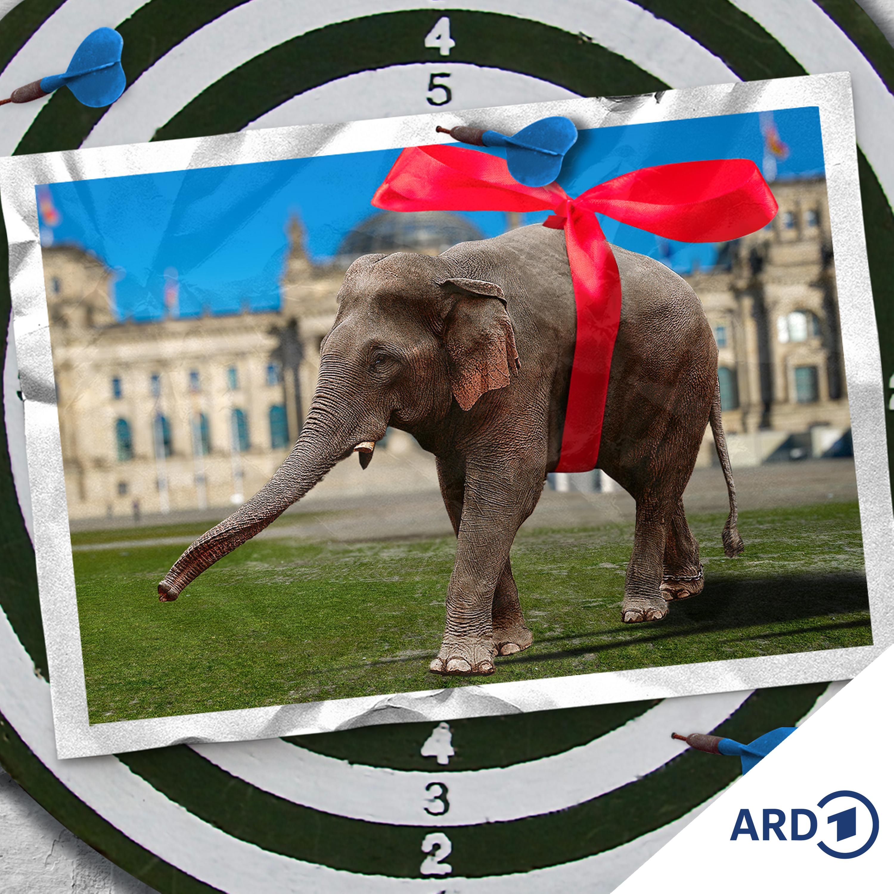 Intensiv-Station - Satire von NDR Info