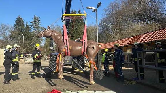 Ein großes Holzpferd wird mithilfe von Gurten und einem Frontlader angehoben.