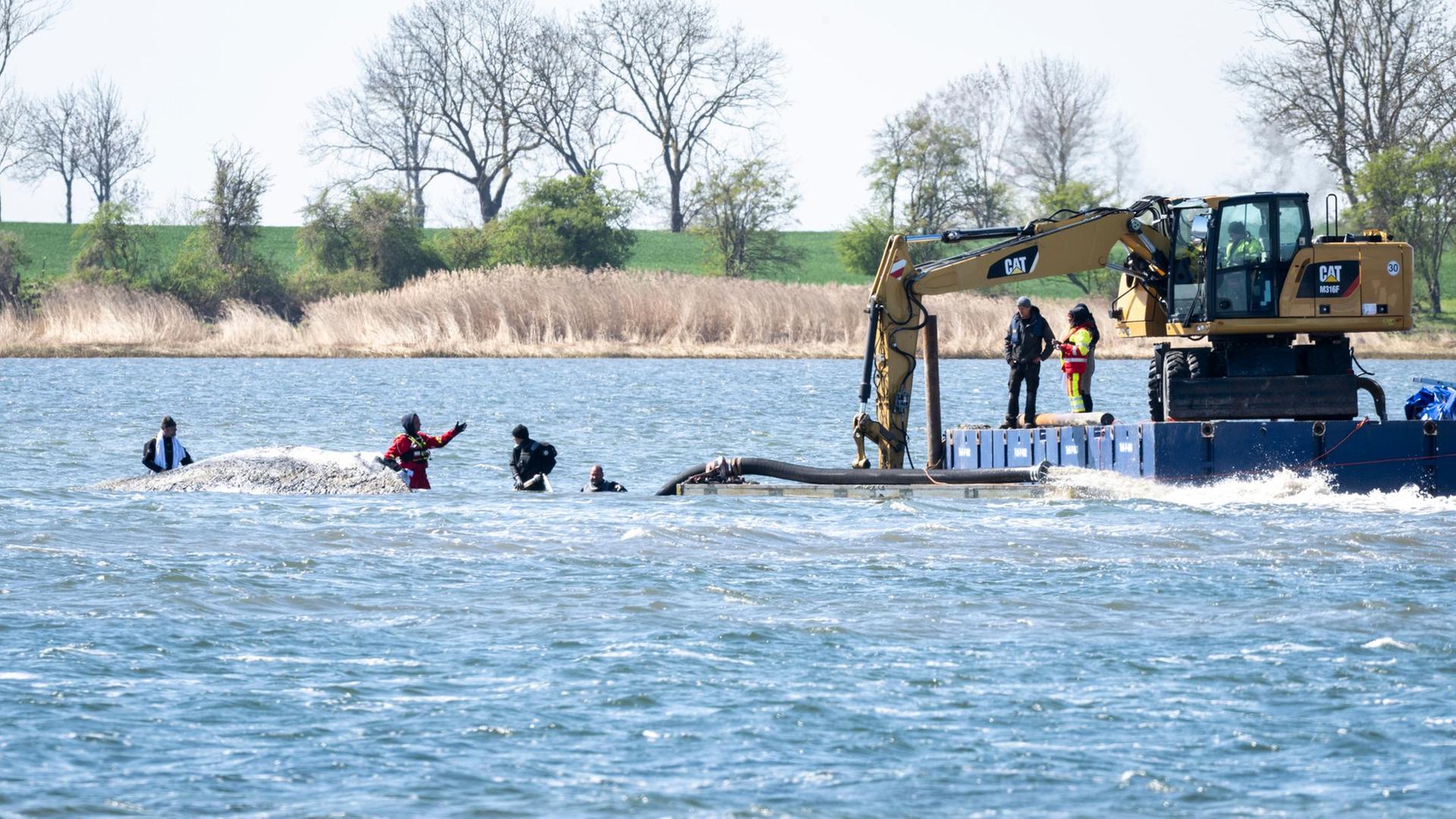 Die private Initiative ist mit schwerem GerÃ¤t beim Buckelwal vor Poel. | Philip Dulian/dpa