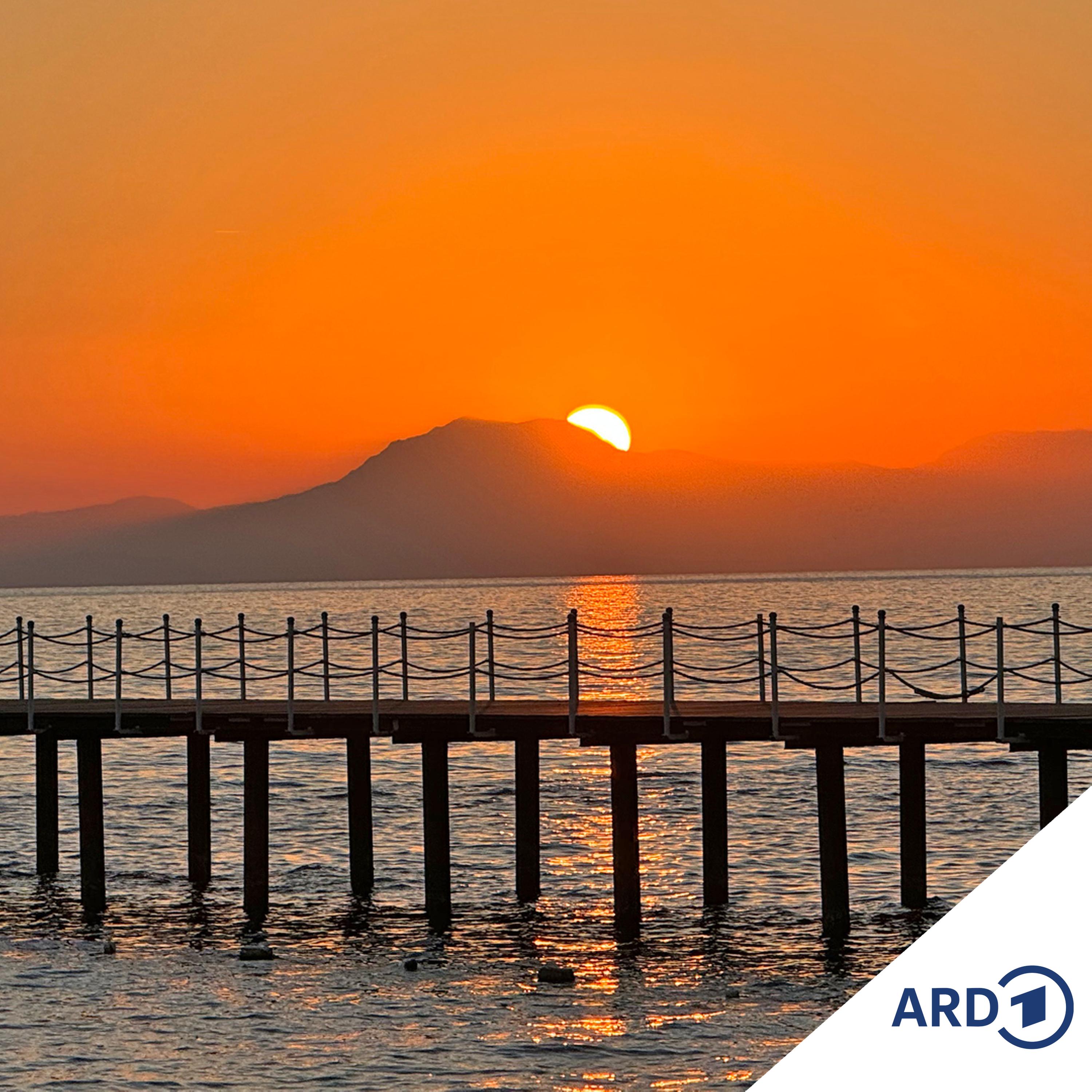 Zwischen Hamburg und Haiti