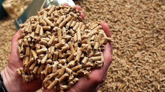Pellets werden aus Holzresten zu Stäbchen gepresst. Bei der Qualität gibt es teils deutliche Unterschiede. | dpa-Zentralbild, Jens Büttner Ein Mitarbeiter hält in der Produktion bei German Pellets in Wismar Holzpellets in den Händen.