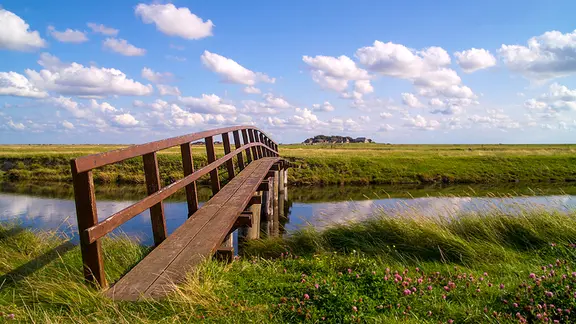 Ein Holzsteg auf Hallig Hooge führt über die Insel.