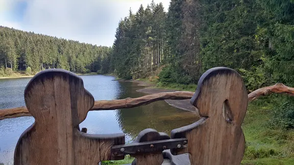 Holzbank am Grumbacher Teich in Hahnenklee im Harz.