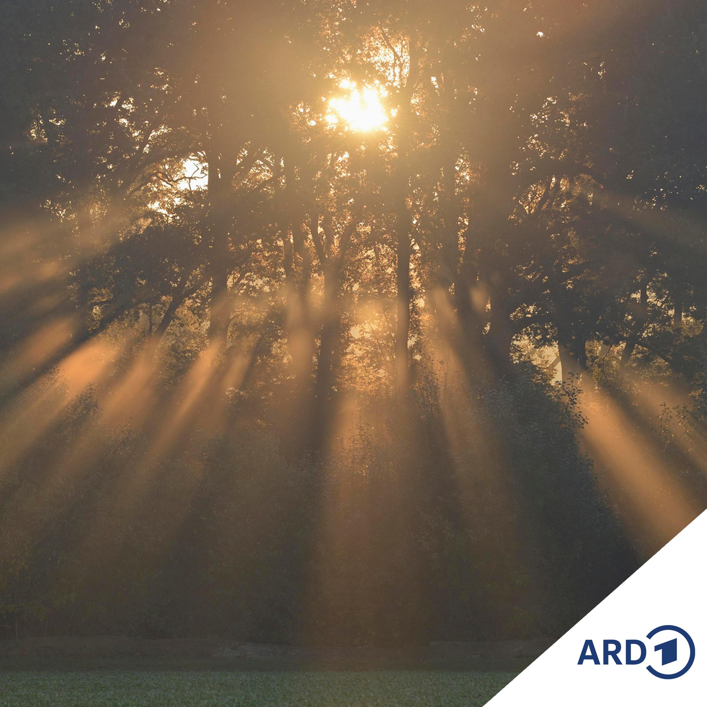 Franziskanische Lebensschule und Ostern - Bruch und Neuanfang