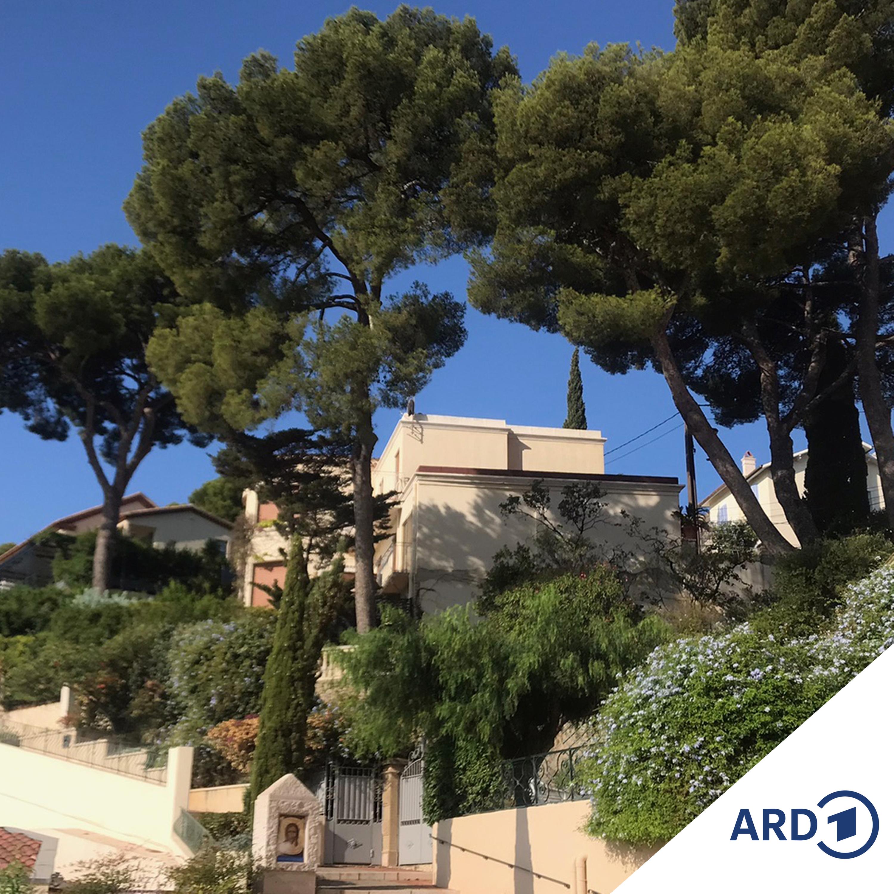 Zwischen Hamburg und Haiti