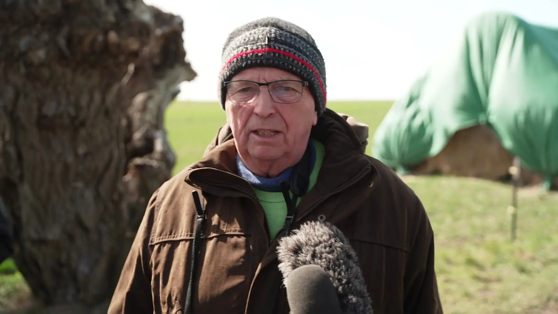 Wal vor Poel: Lebendrettung laut Minister Backhaus doch unwahrscheinlich