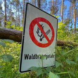 Ein Warnschild in einem Wald weist auf Waldbrandgefahr hin