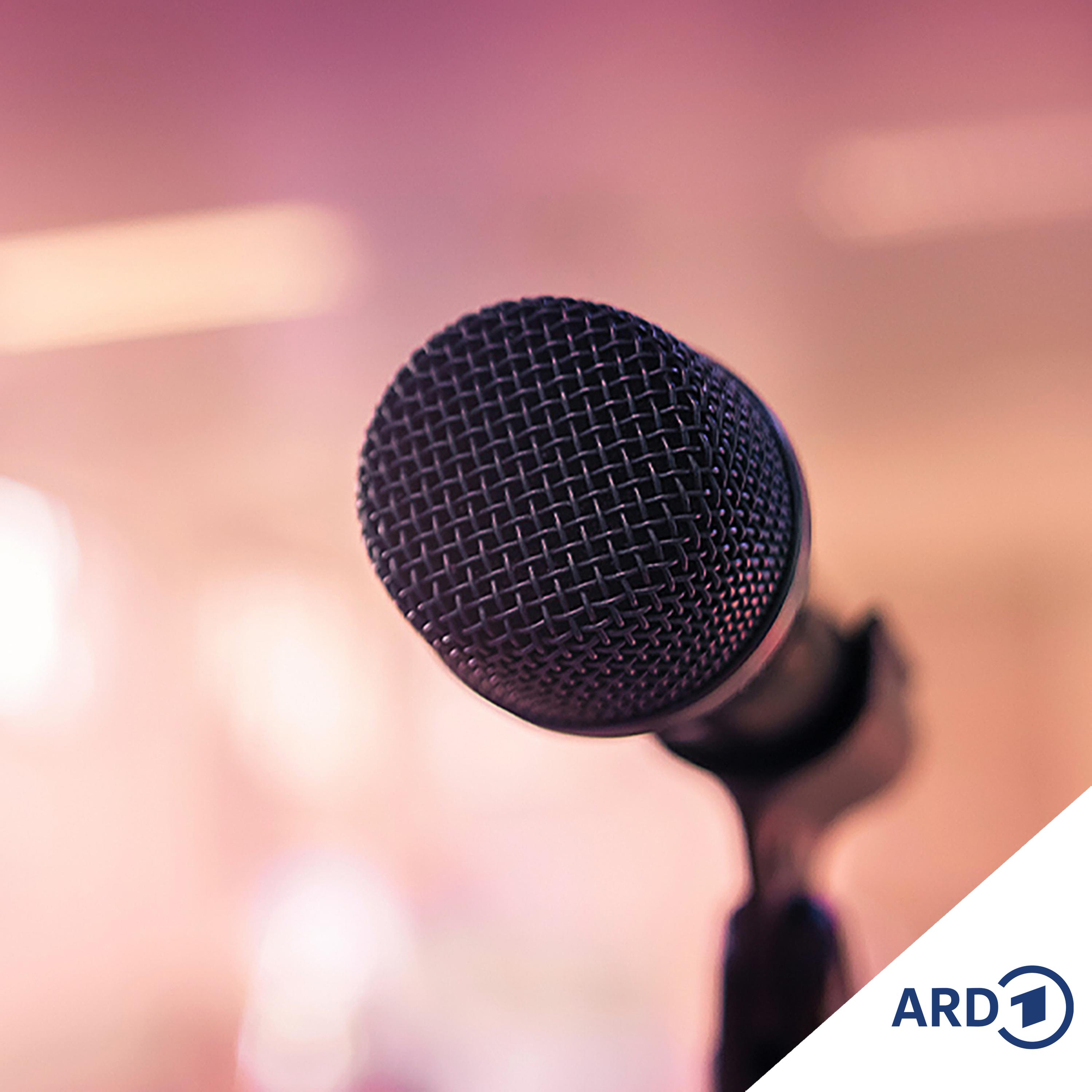 Mikado: Gedanken, Reime, Beats: Rappen