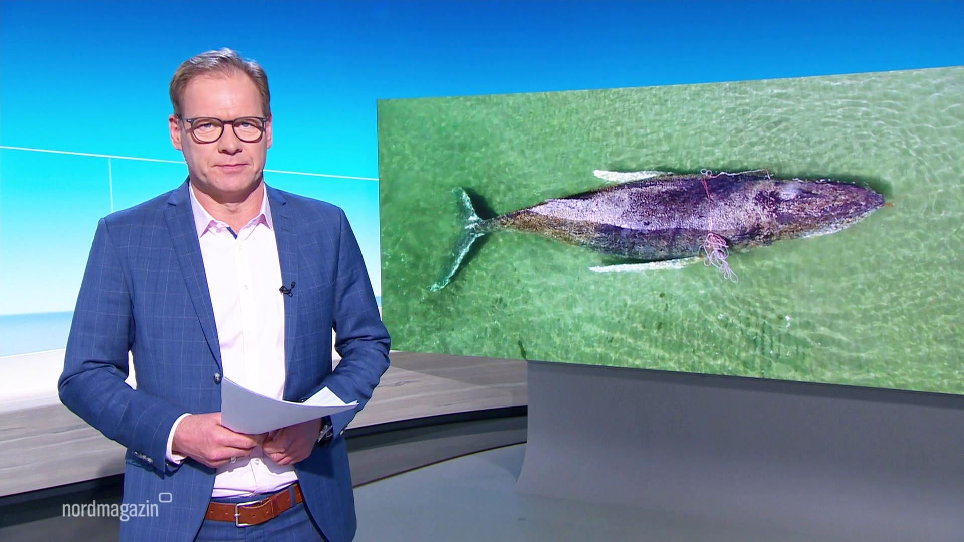 Nordmagazin | 23.03.2026