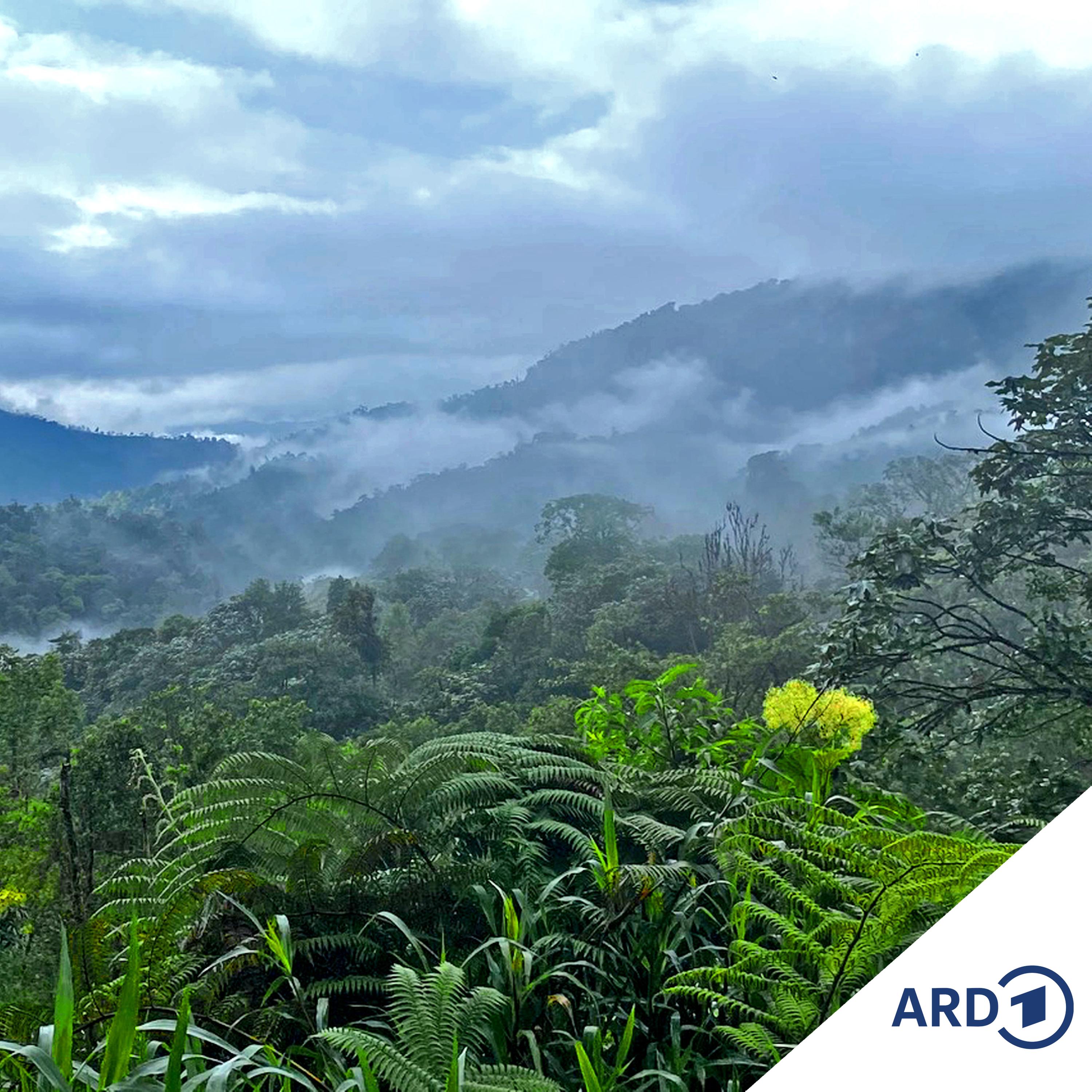 Ecuador - Wo die Natur klagen kann episode artwork