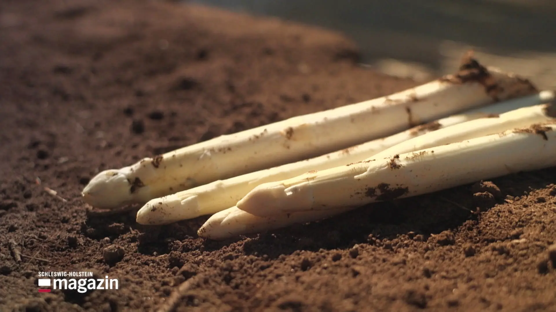 Spargelanstich und Krönung in Salem