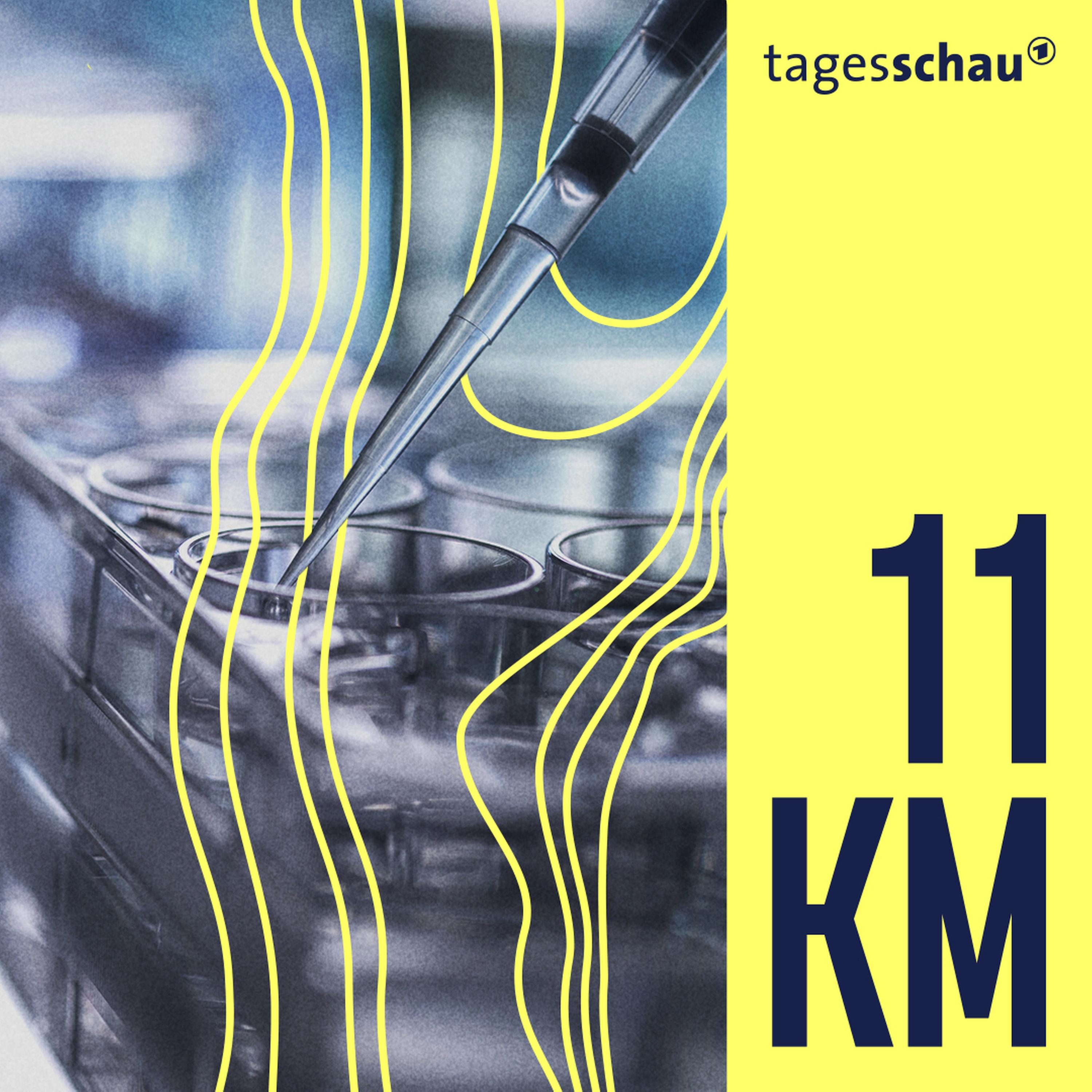 Menschen aus dem Labor? - Forschung mit künstlichen Embryos