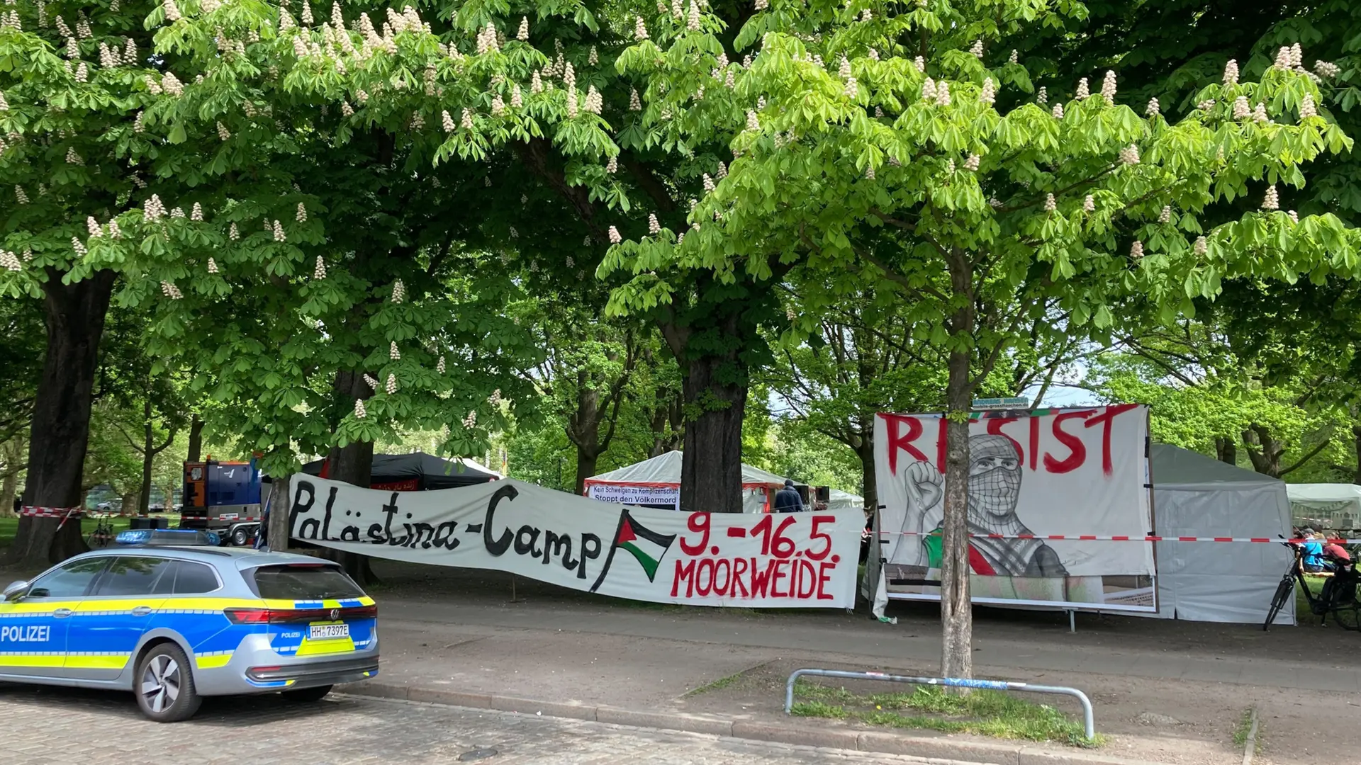 Pro-Palästina-Camp in HH: FDP fordert Schutz der Moorweide als Gedenkort