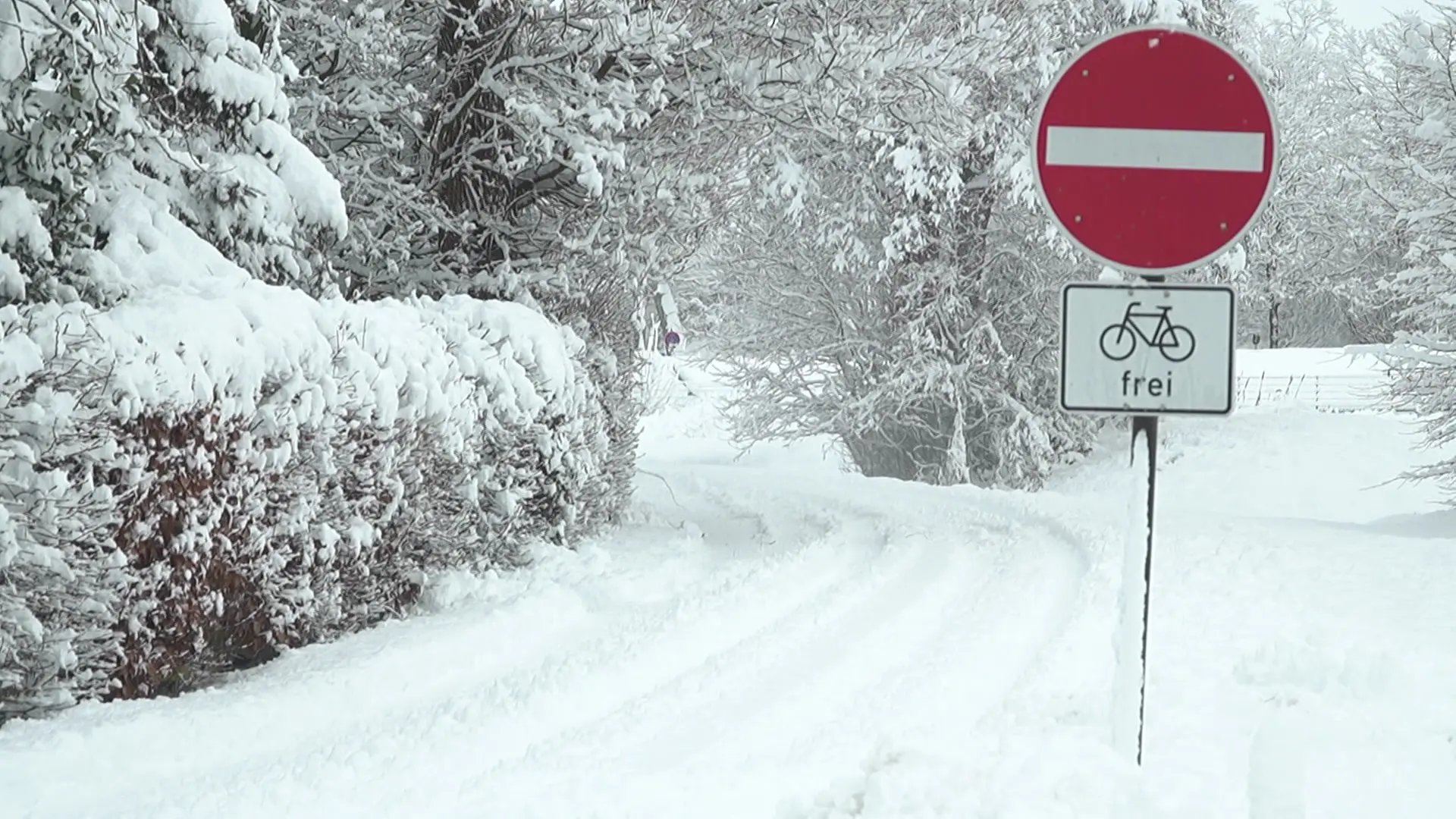 Tempête de neige en approche : ce temps arrive à SH vendredi