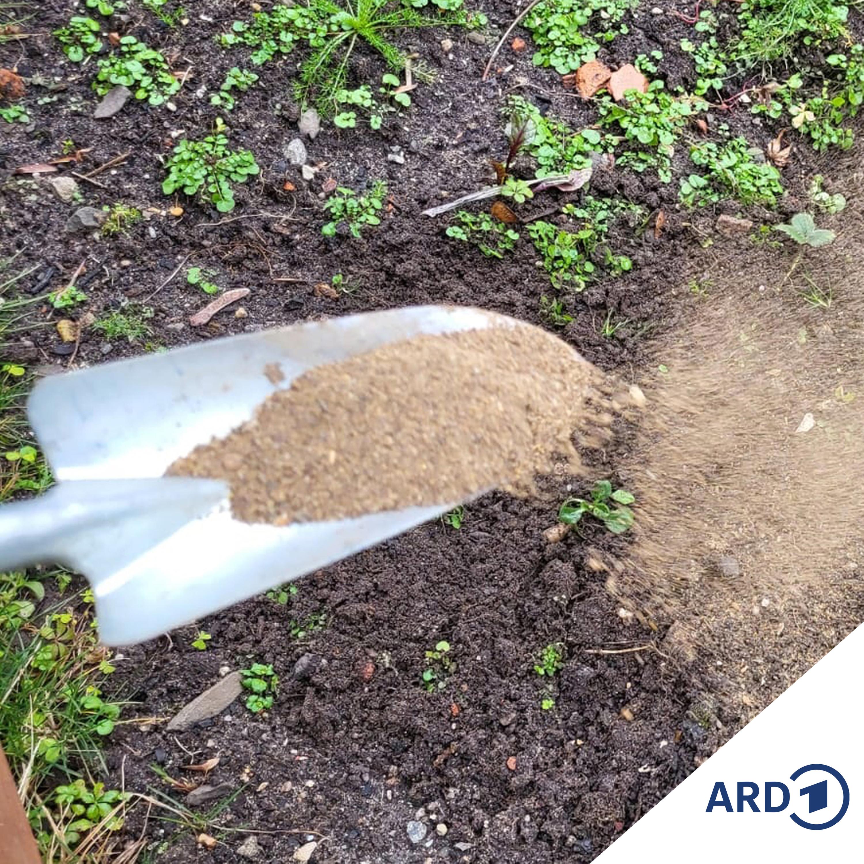 Im Grünen Bereich – Der NDR Gartenpodcast