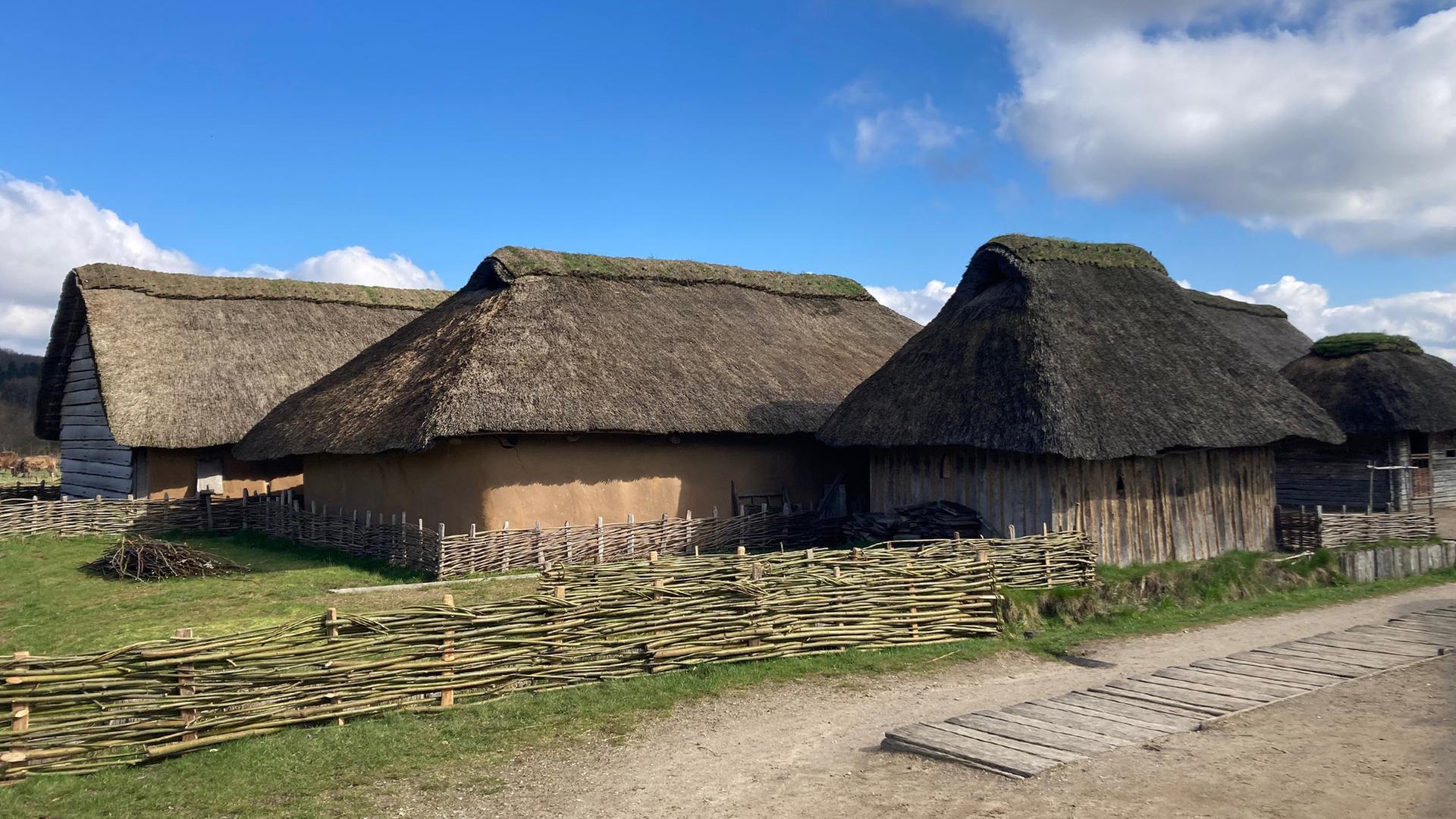 Freier Eintritt, Führungen und Kurse: Internationaler Museumstag